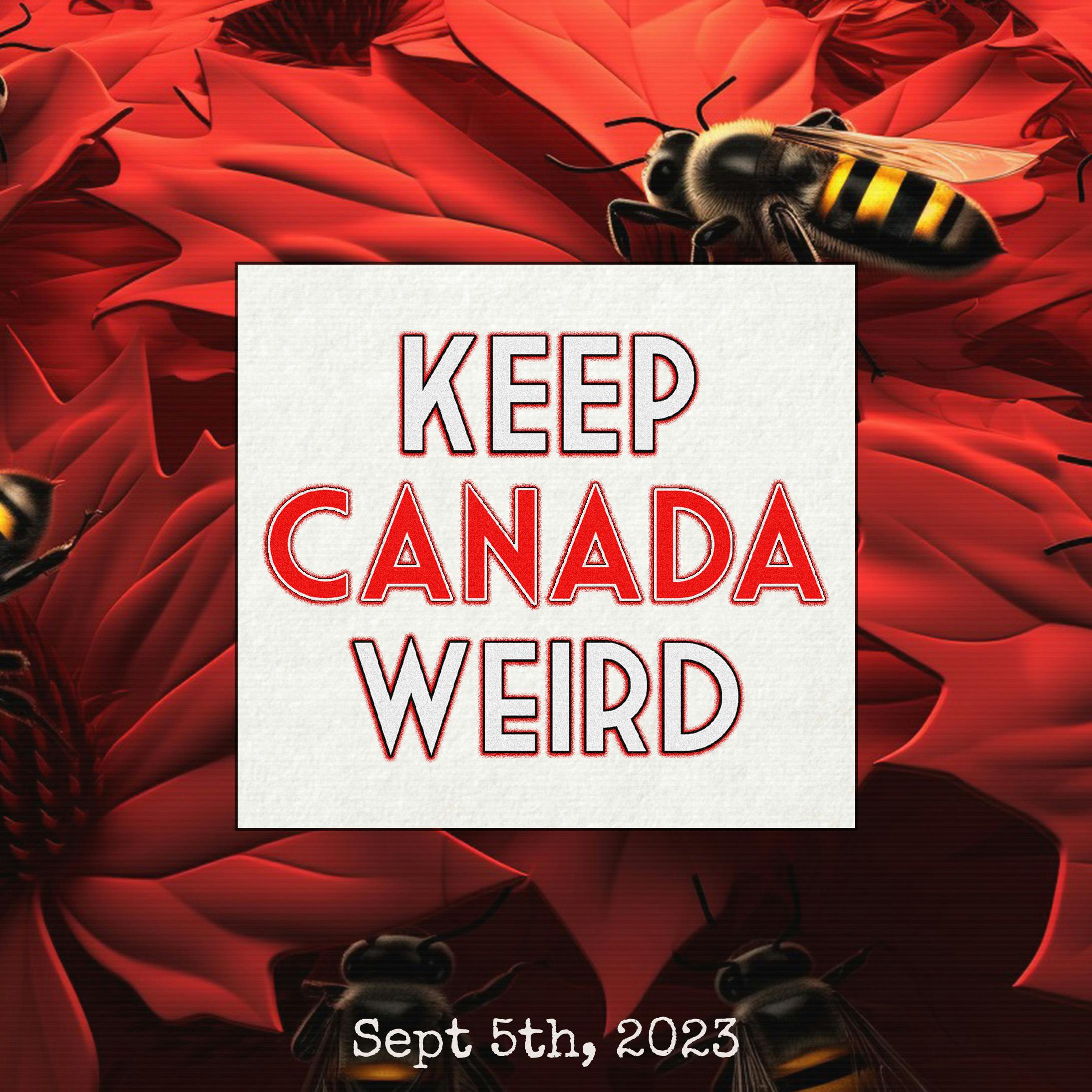KEEP CANADA WEIRD - Sept 5th, 2023 - Bees in Burlington, the world's biggest arrow, a rocket launcher, and the worst neighbor