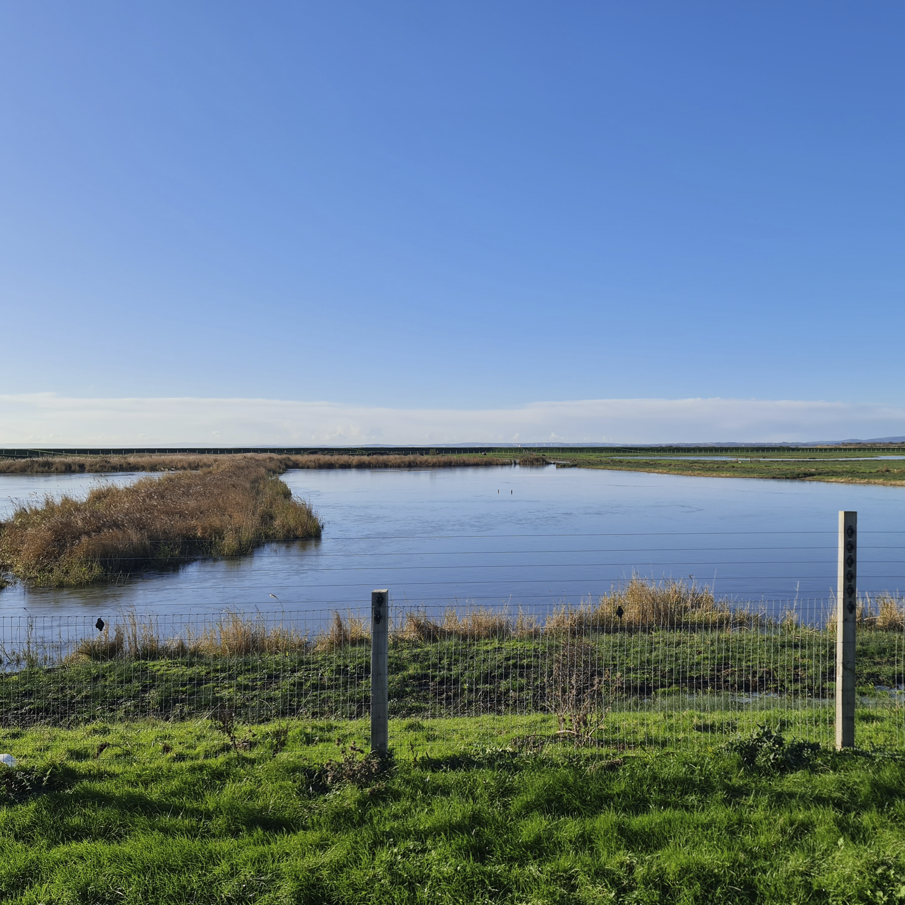 Sound Escape 251. Hear the song of the wind on the first icy morning of winter