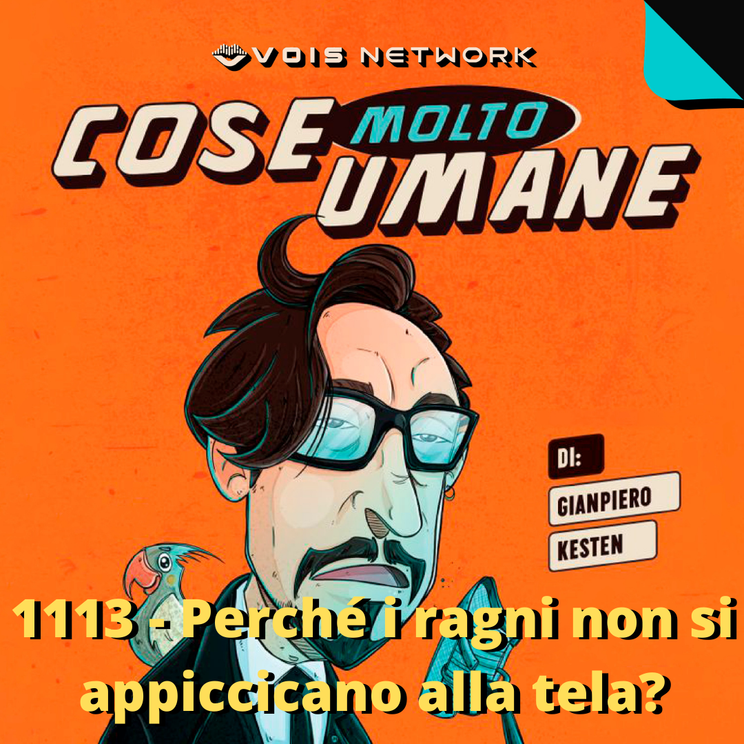 1113 - Perché i ragni non si appiccicano alla tela?