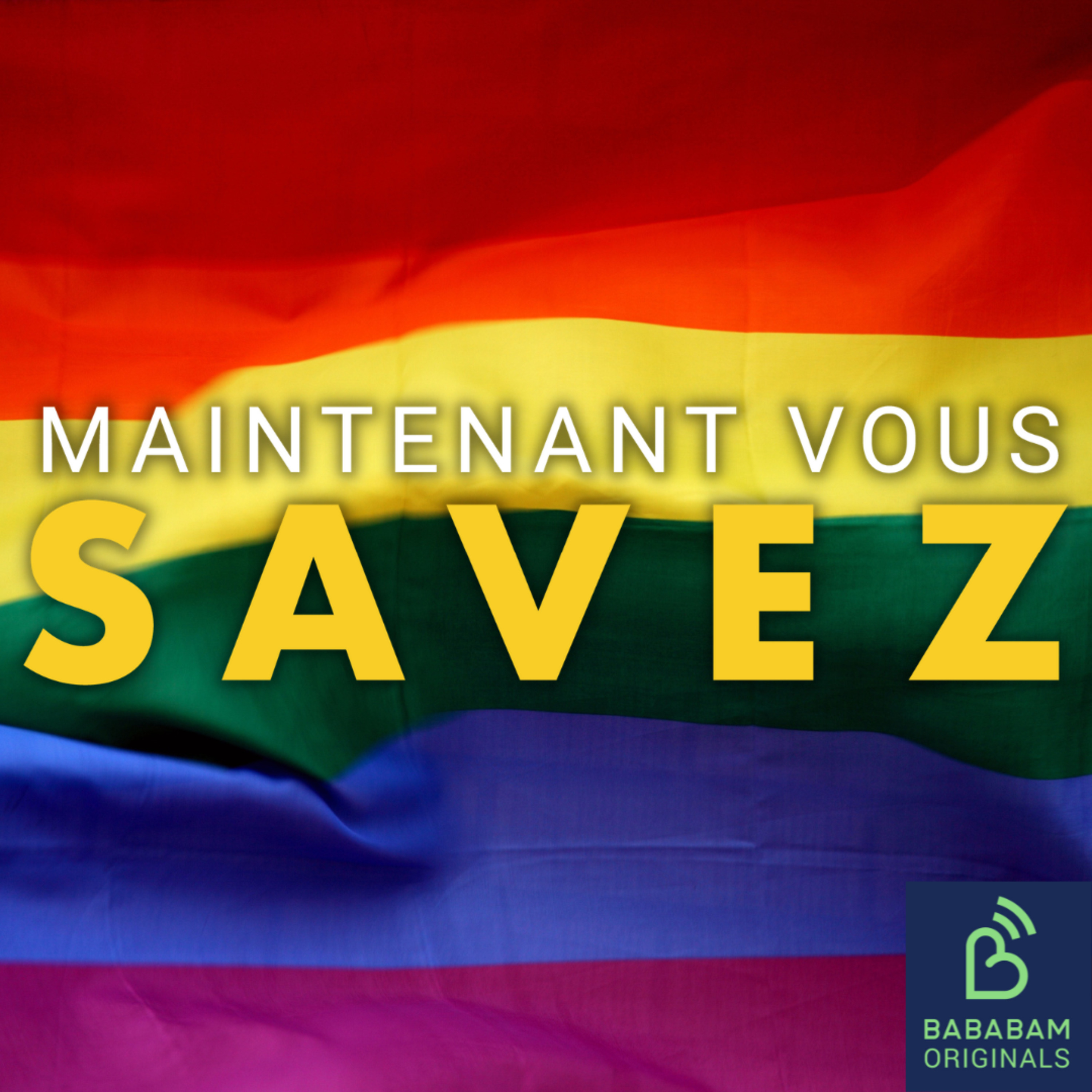 D’où vient le drapeau arc-en-ciel LGBTQIA+ ?