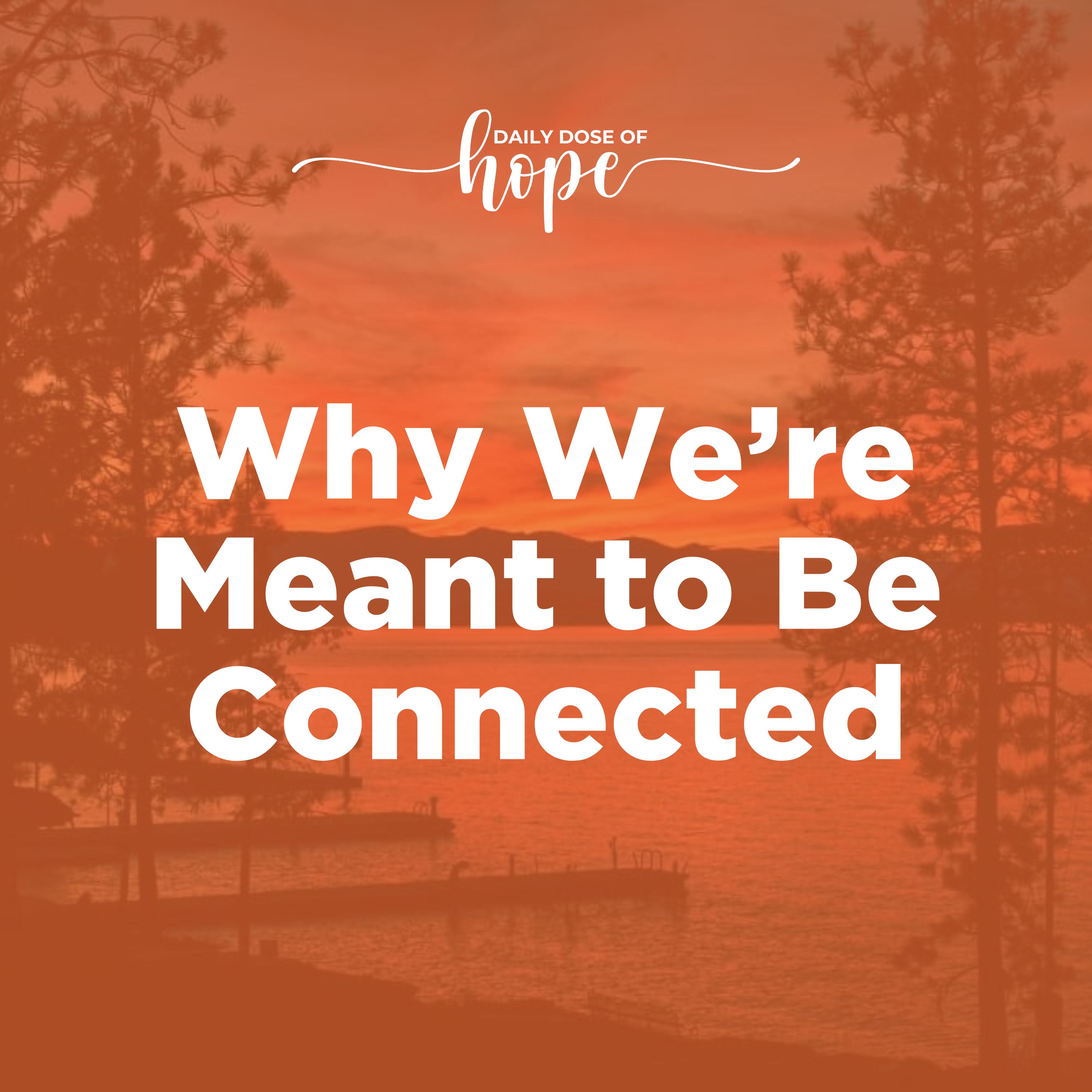 Why We’re Meant to Be Connected