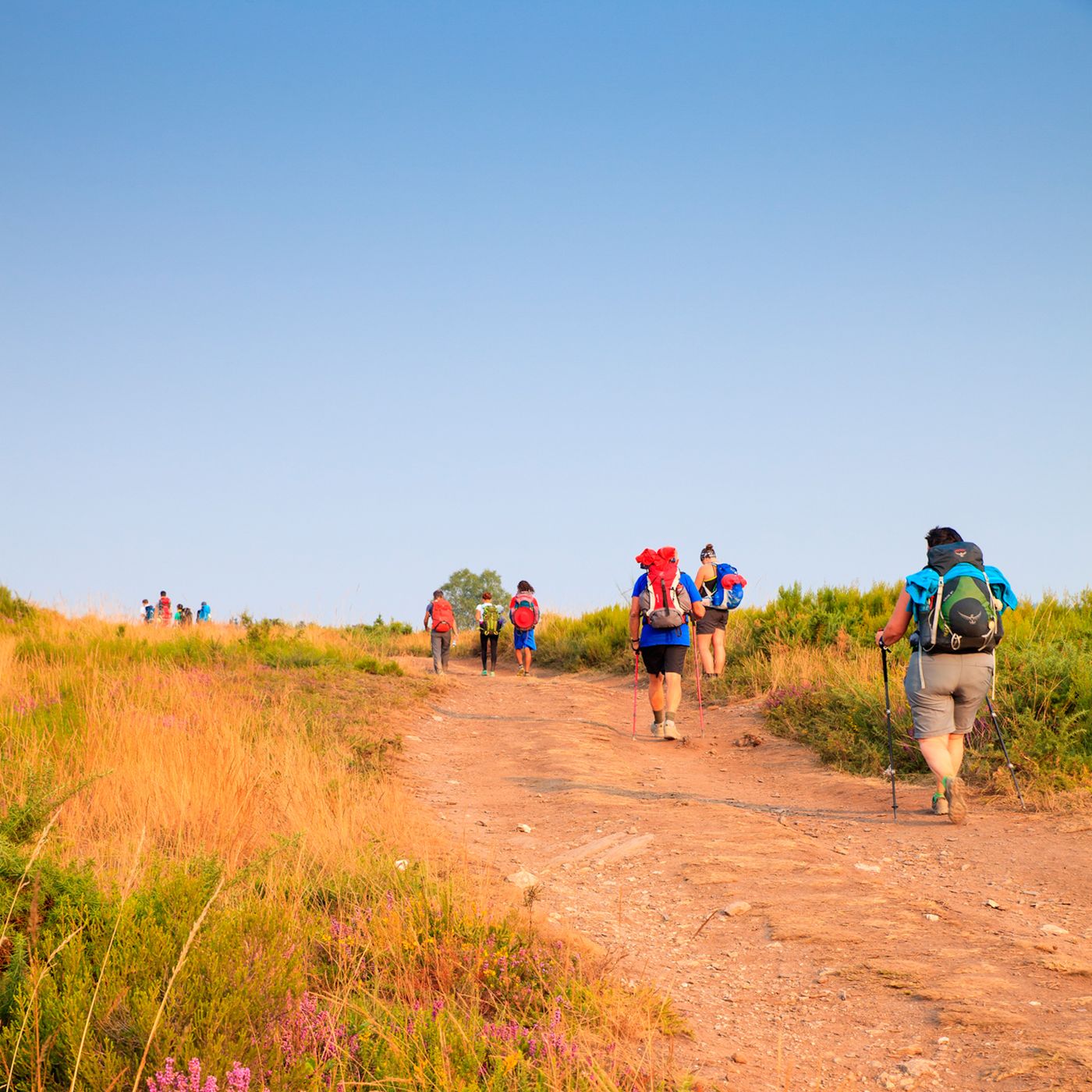 My Camino - the podcast