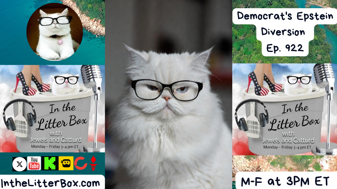 Democrat's Epstein Diversion | In the Litter Box w/ Jewels & Catturd – Ep. 922 – 11/13/2025