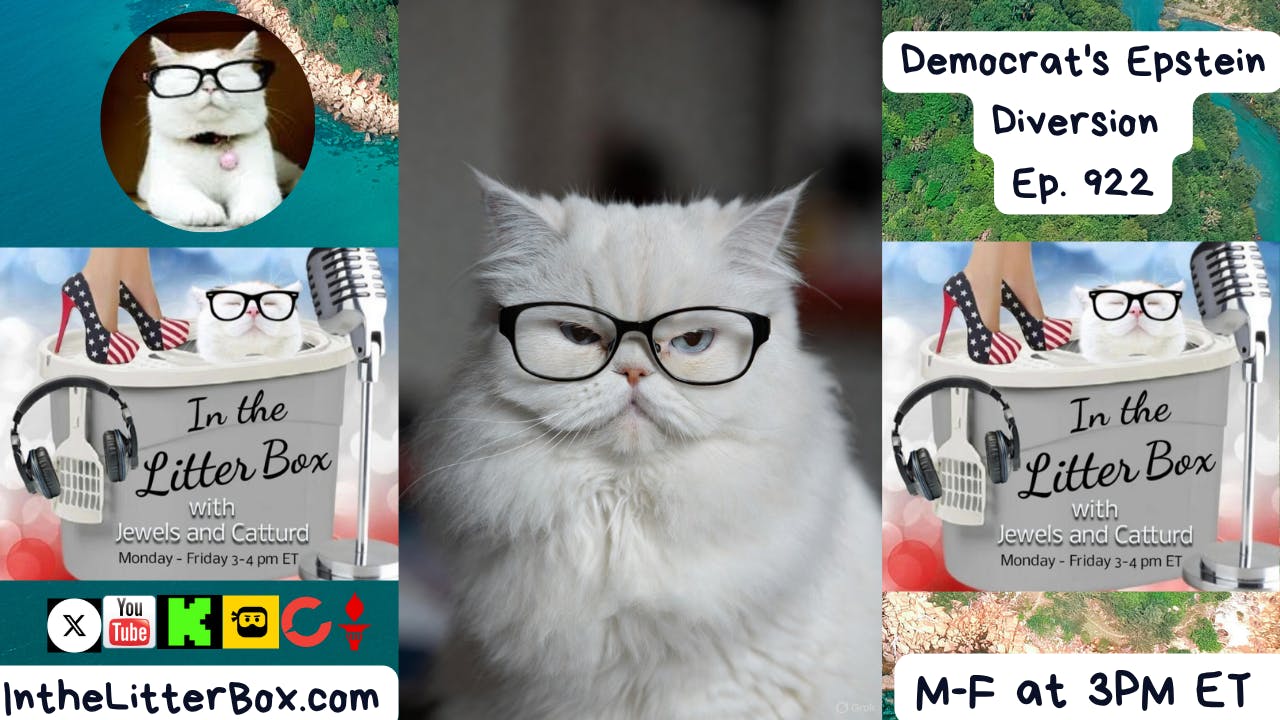 Democrat's Epstein Diversion | In the Litter Box w/ Jewels & Catturd – Ep. 922 – 11/13/2025 Democrat's Epstein Diversion | In the Litter Box w/ Jewels & Catturd – Ep. 922 – 11/13/2025