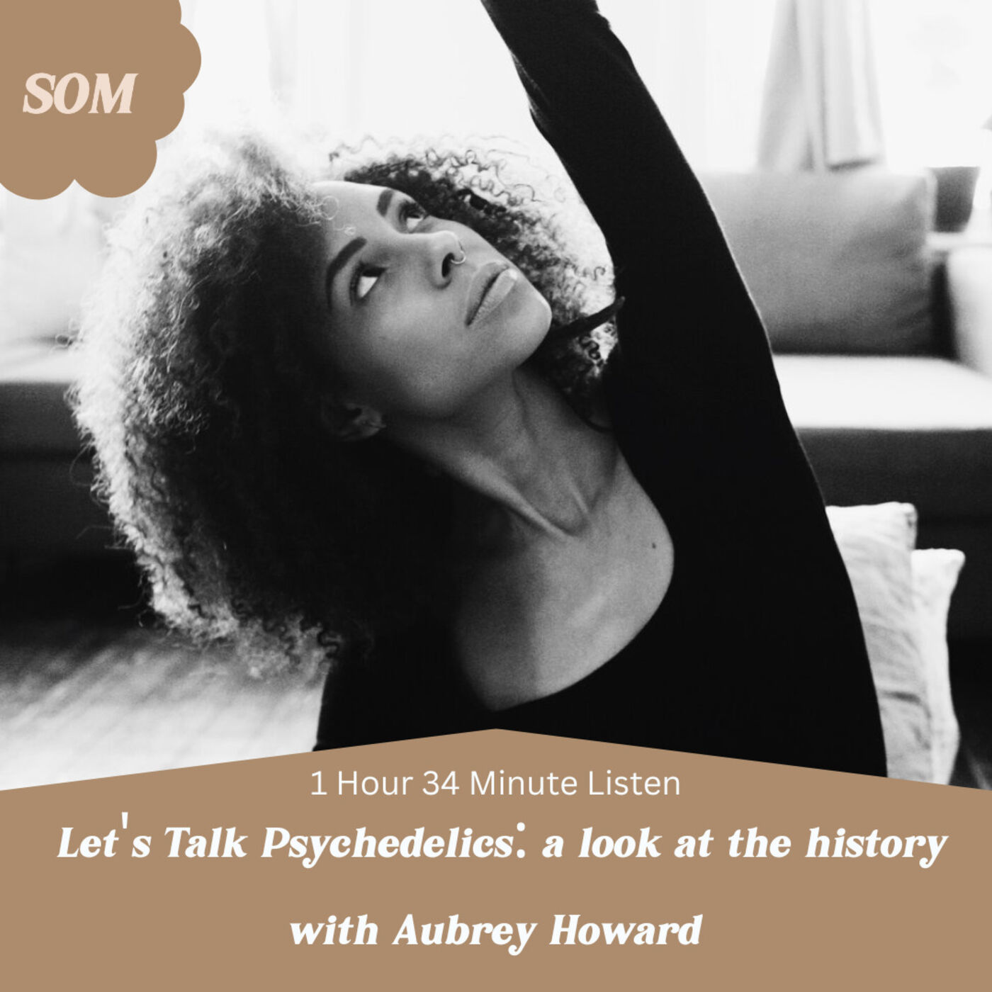 Let's Talk Psychedelic Assisted Therapy: A Look at the History w/ Aubrey Howard