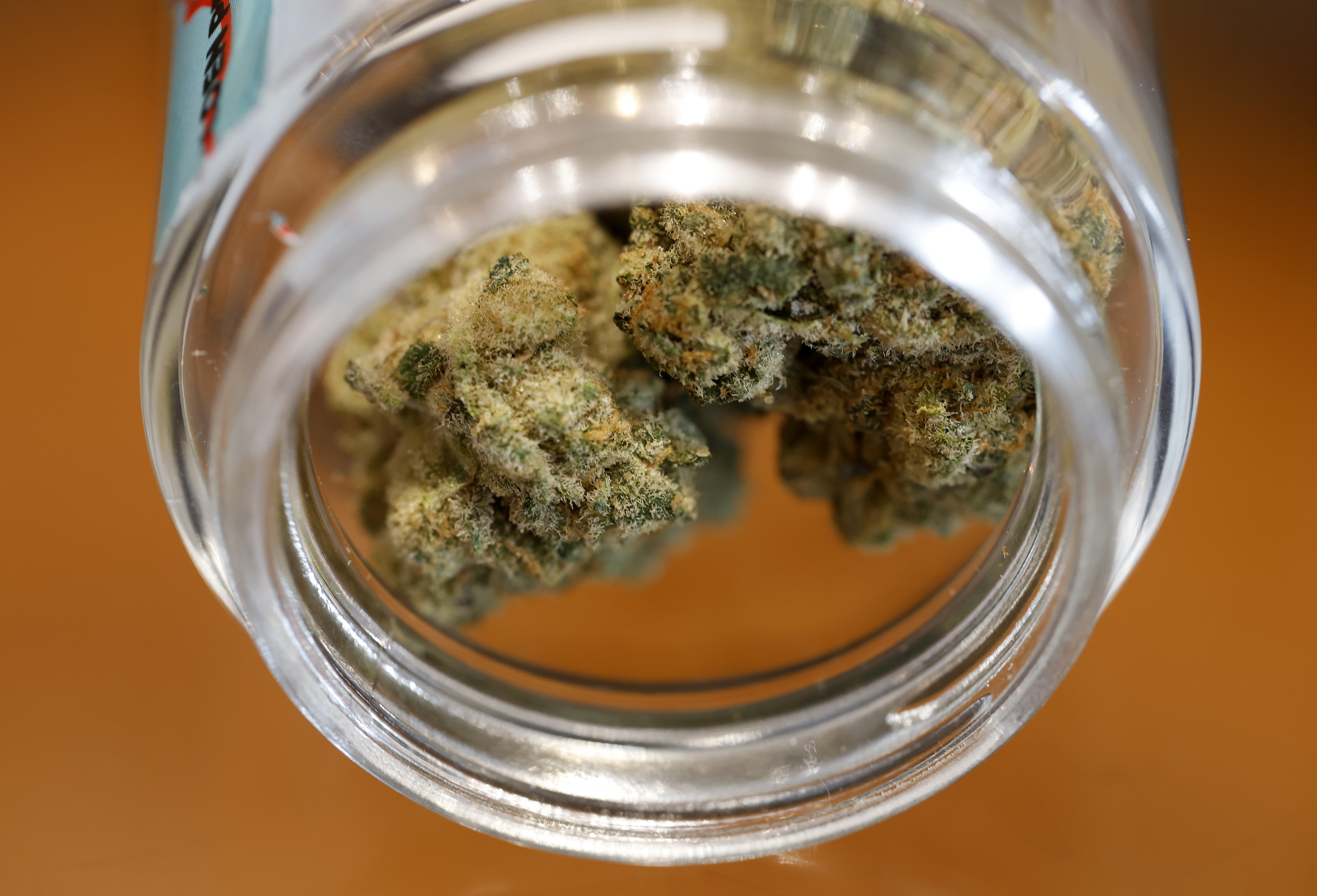 In Santa Cruz, Cannabis Culture Faces Challenges From Increased Regulations