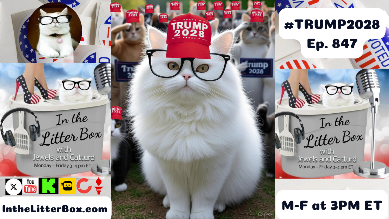 #TRUMP2028 | In the Litter Box w/ Jewels & Catturd – Ep. 847 – 7/23/2025