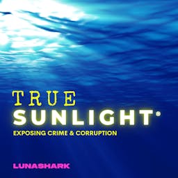 True Sunlight artwork