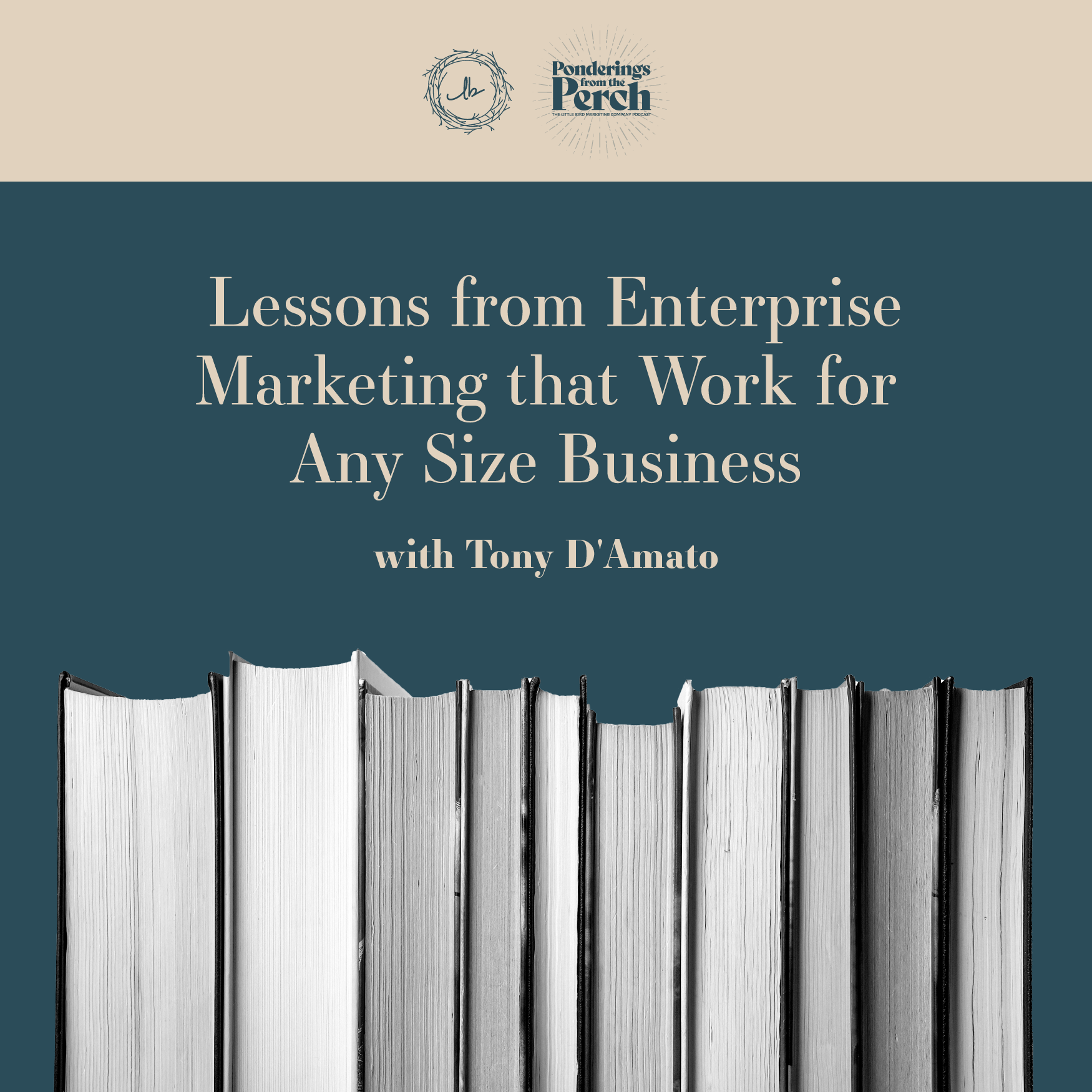 Lessons from Enterprise Marketing that Works for Any Size Business with Tony D'Amato episode artwork