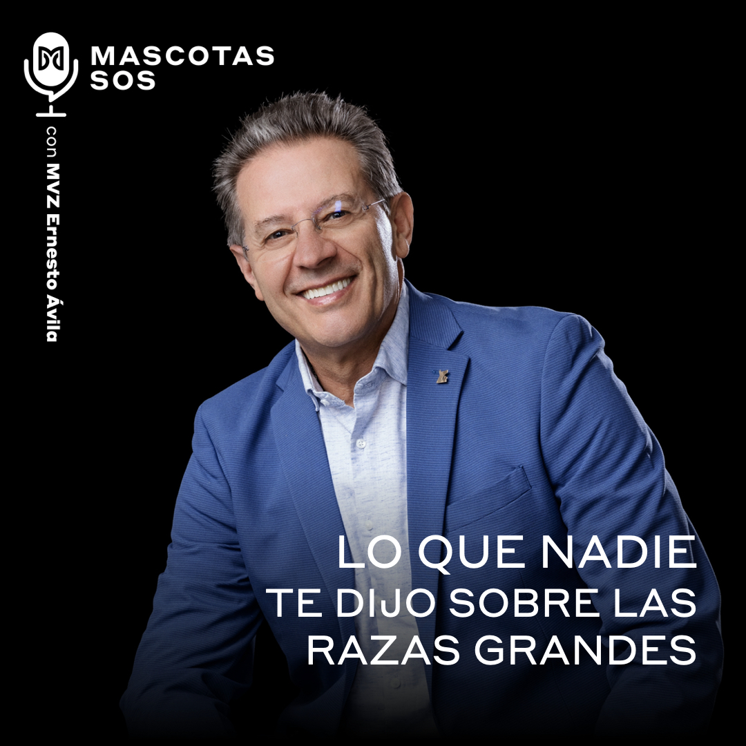 Lo que nadie te dijo sobre las razas grandes