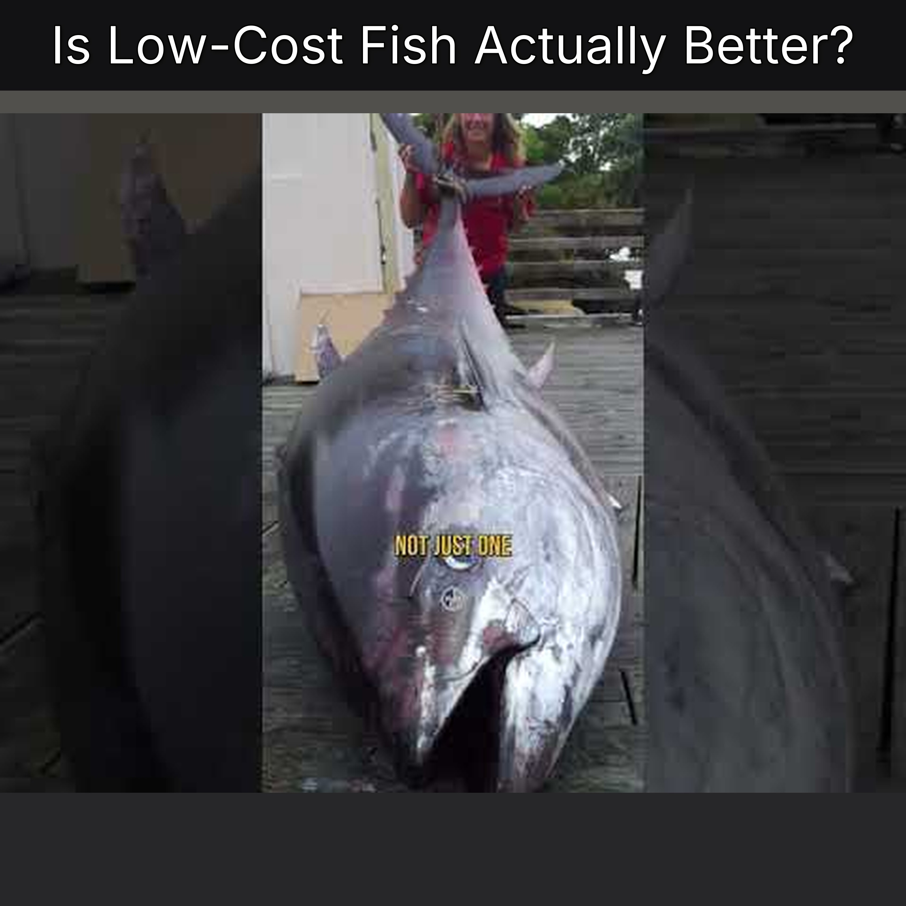 Is Low-Cost Fish Actually Better?