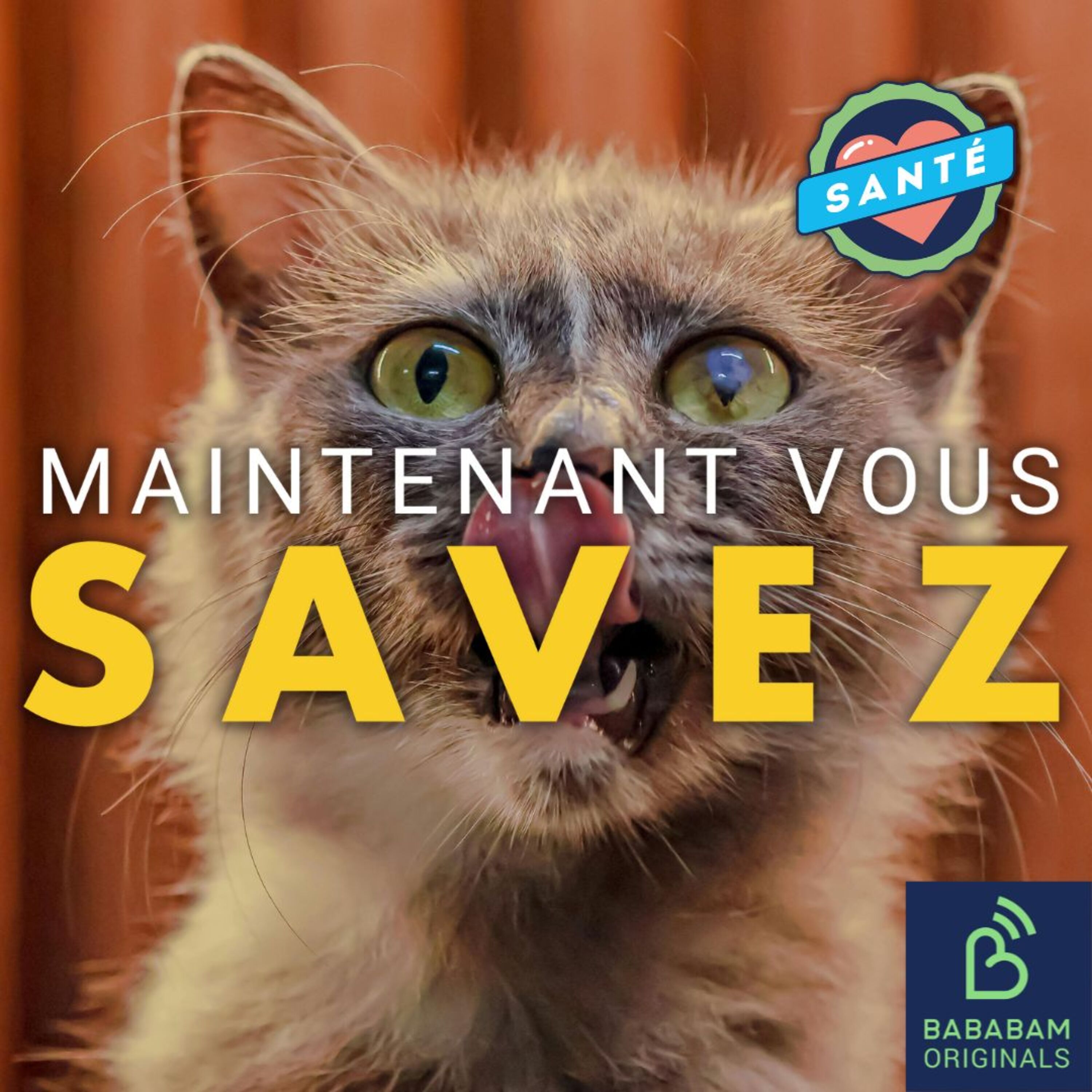 Quels sont les secrets d’un bon cunnilingus ?