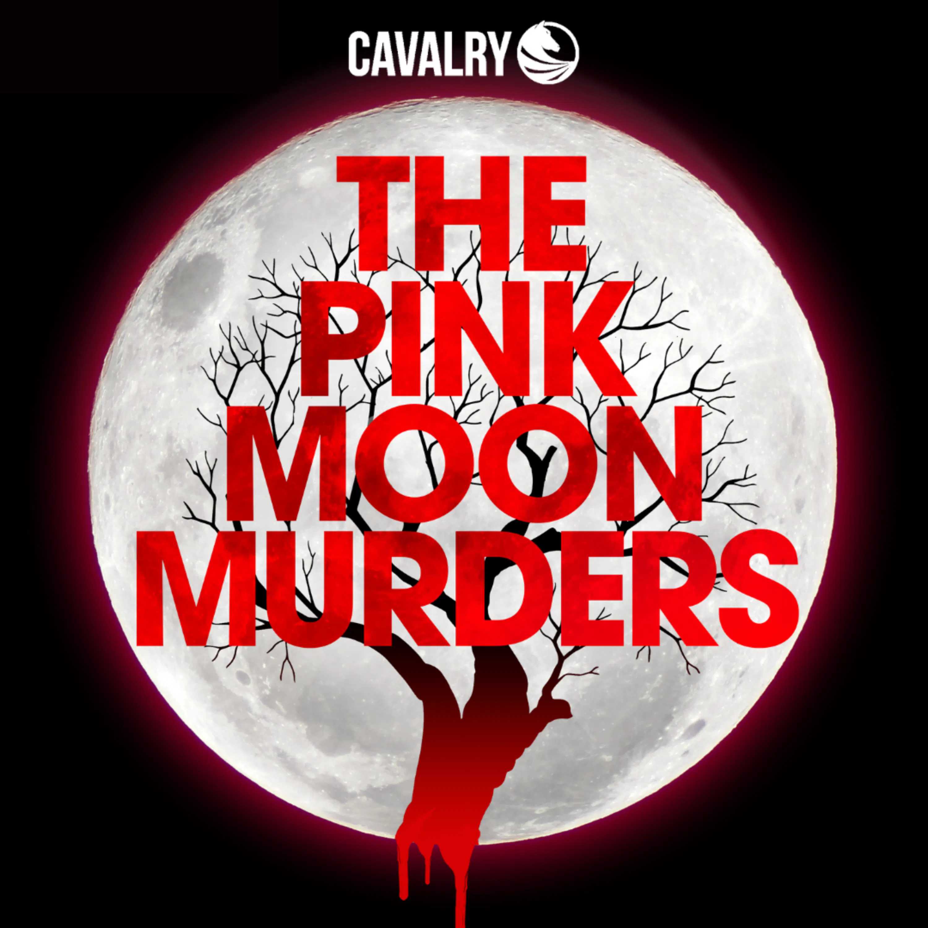 The Pink Moon Murders cover