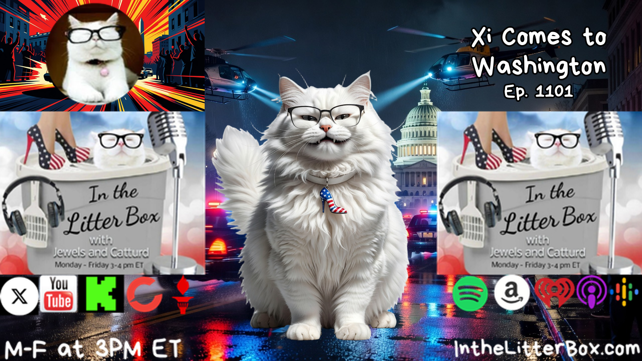 XI COMES TO WASHINGTON | In the Litter Box w/ Jewels & Catturd – Ep. 1101 – 9/24/2026