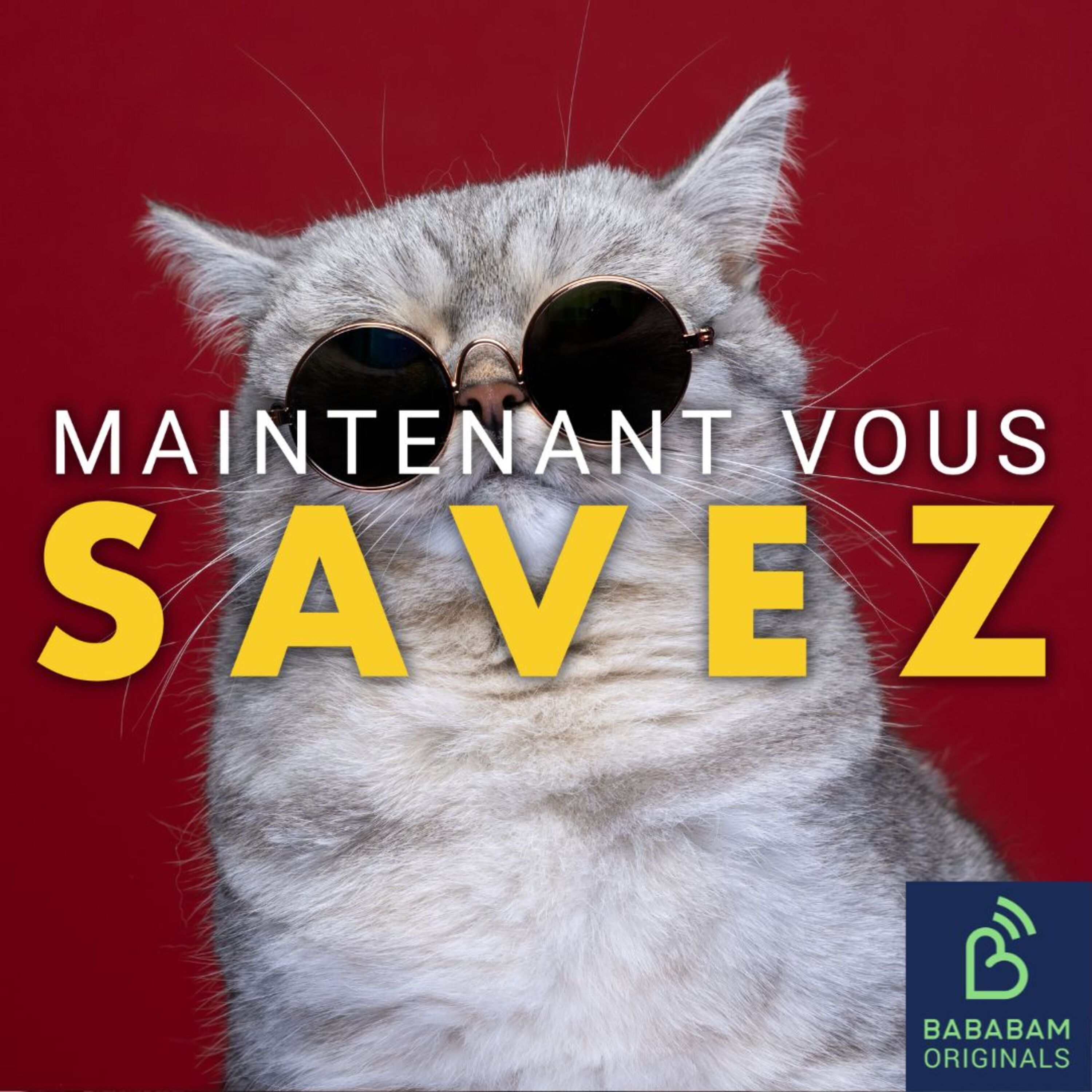 Sommes-nous plus stupides qu’avant ?