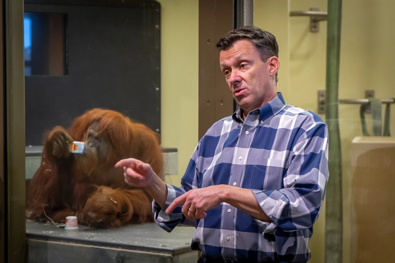 Rob Shumaker: Lifelong love for animals finds a home in Indy episode artwork