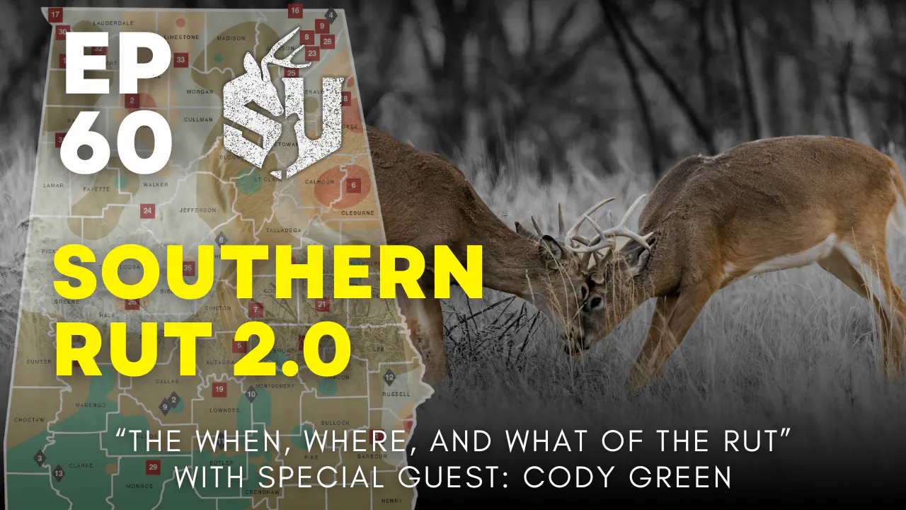 Episode 60: Southern Rut 2.0 episode artwork