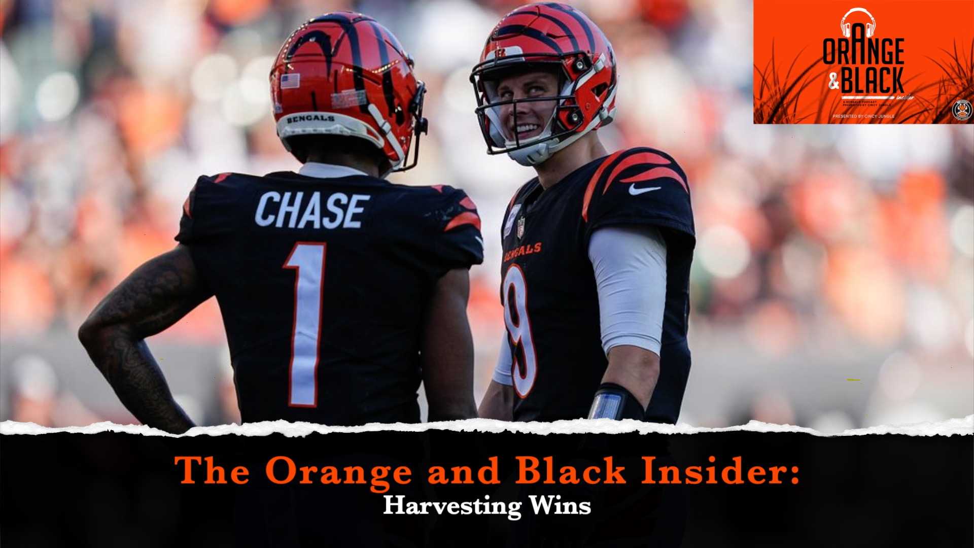 The Orange and Black Insider Bengals podcast: Harvesting Wins episode artwork