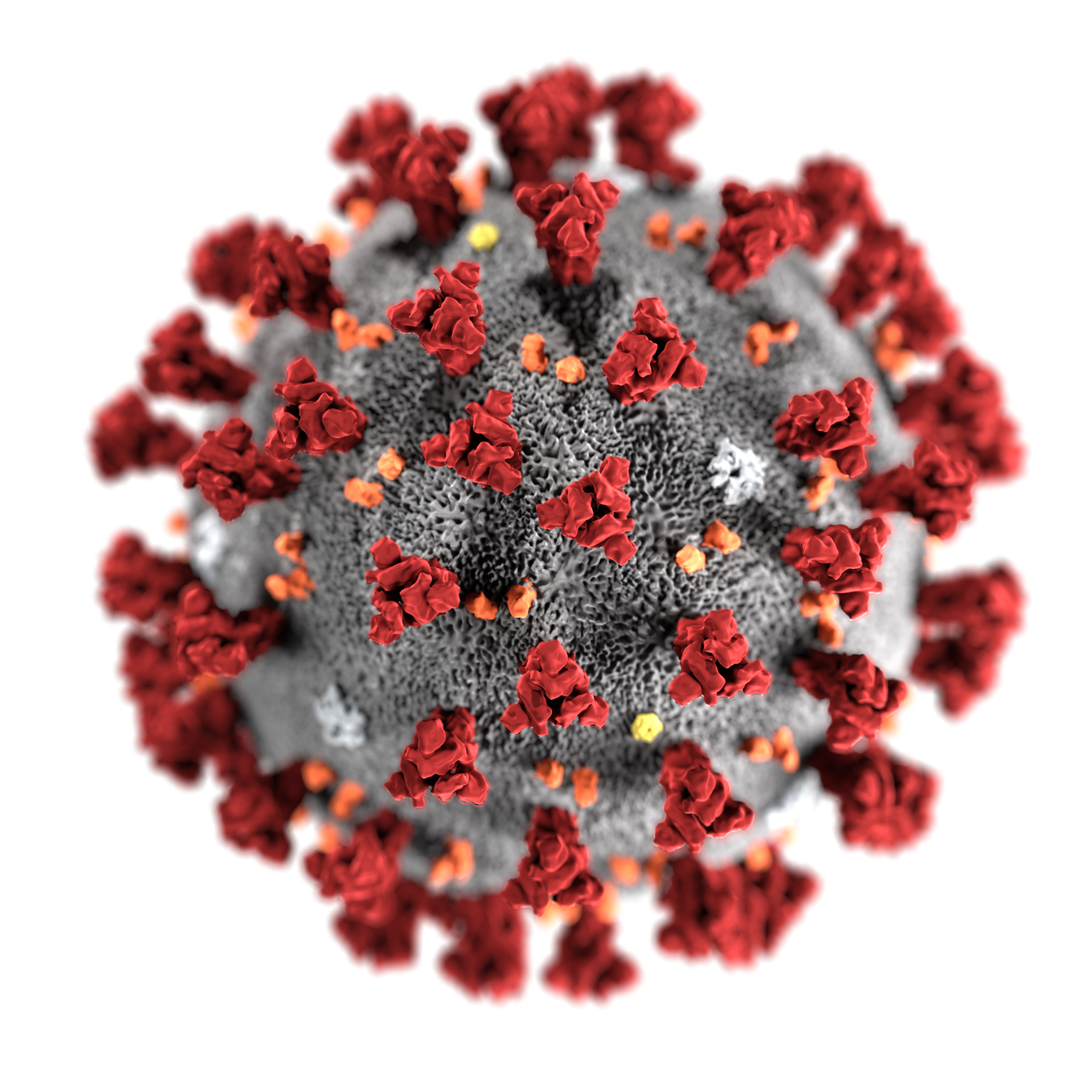 66 Facing the Coronavirus: The Practicing Life in a Time of Crisis episode artwork