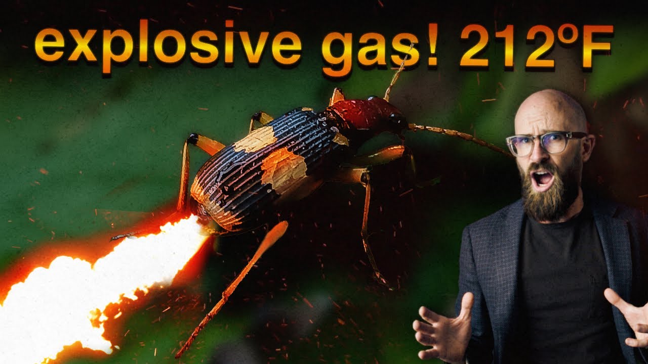 The Incredible Flame Thrower Packing Insect