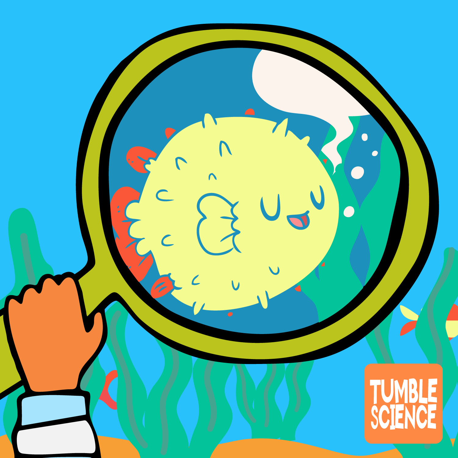 What Sounds Do Fish Make?