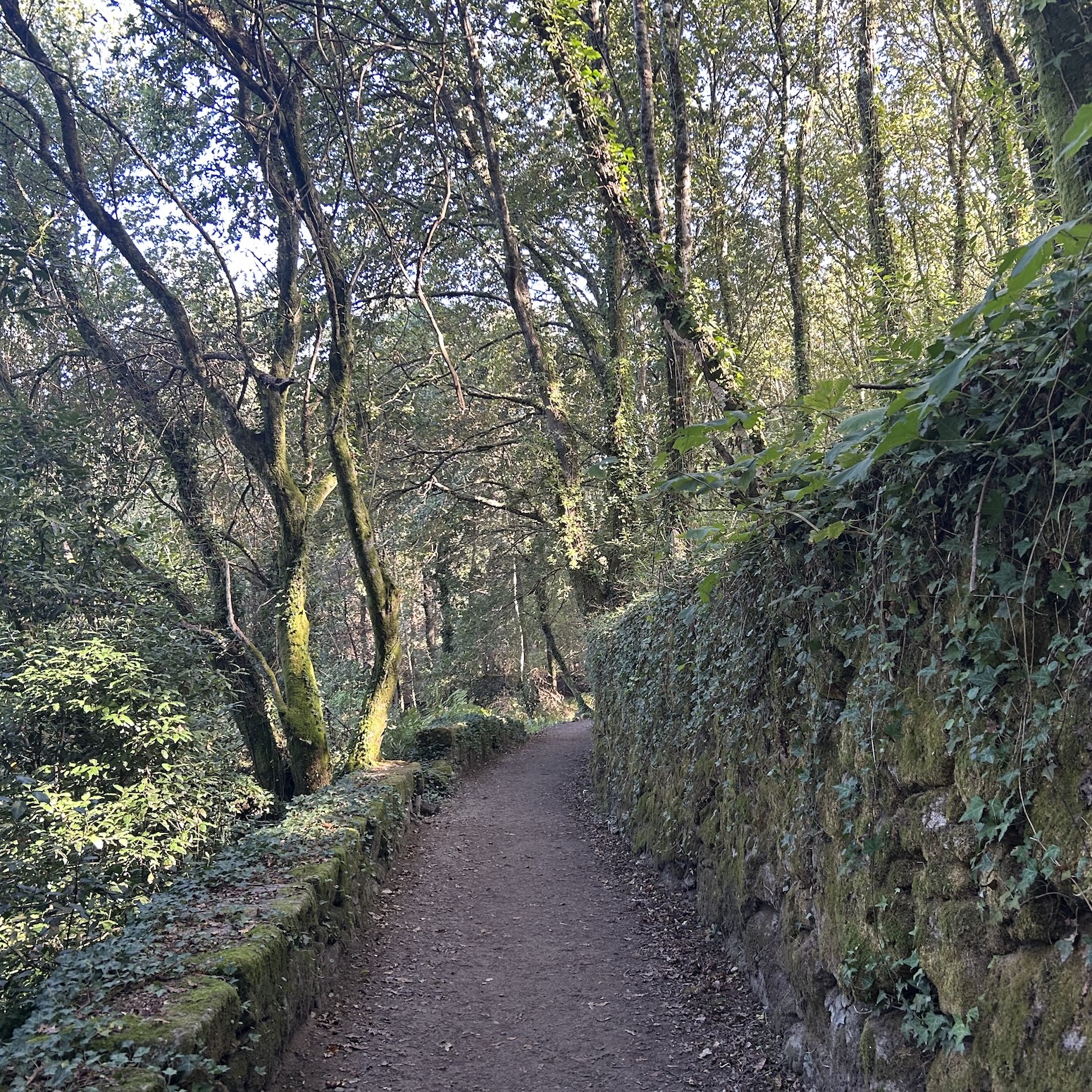 My Camino - the podcast