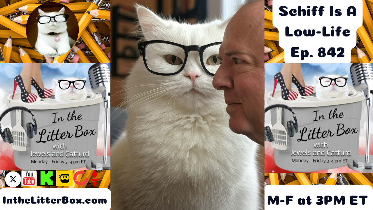 Schiff Is A Low-Life | In the Litter Box w/ Jewels & Catturd – Ep. 842 – 7/16/2025