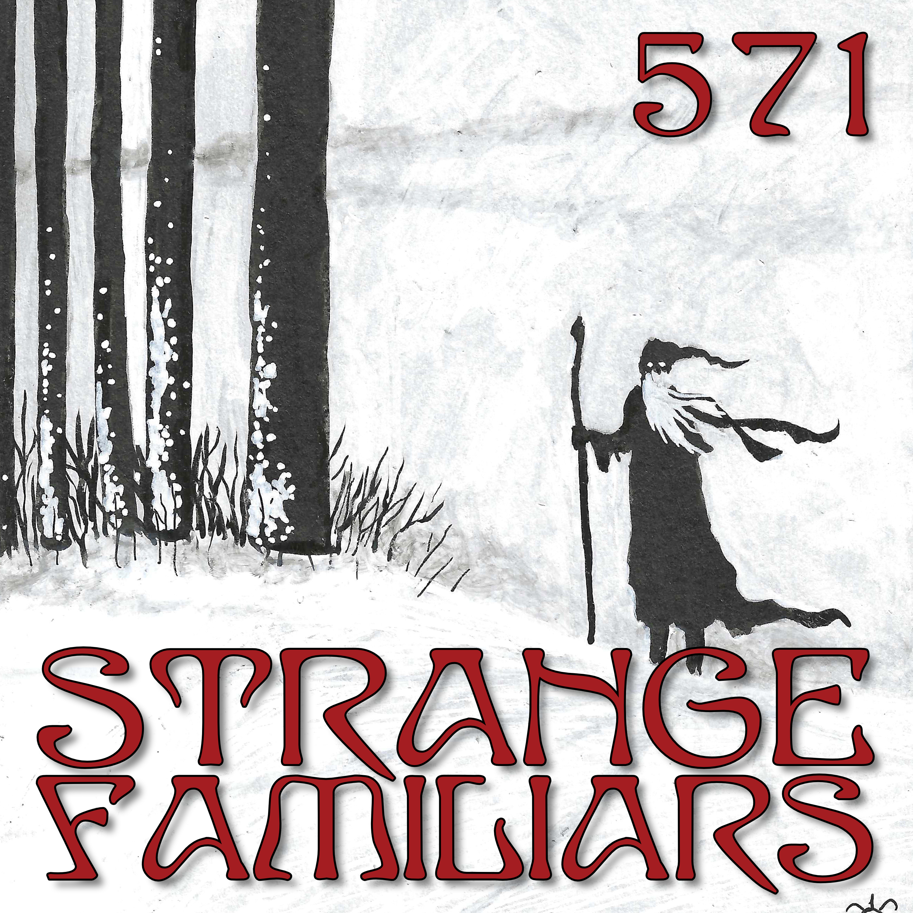 Christmas Questions 2025