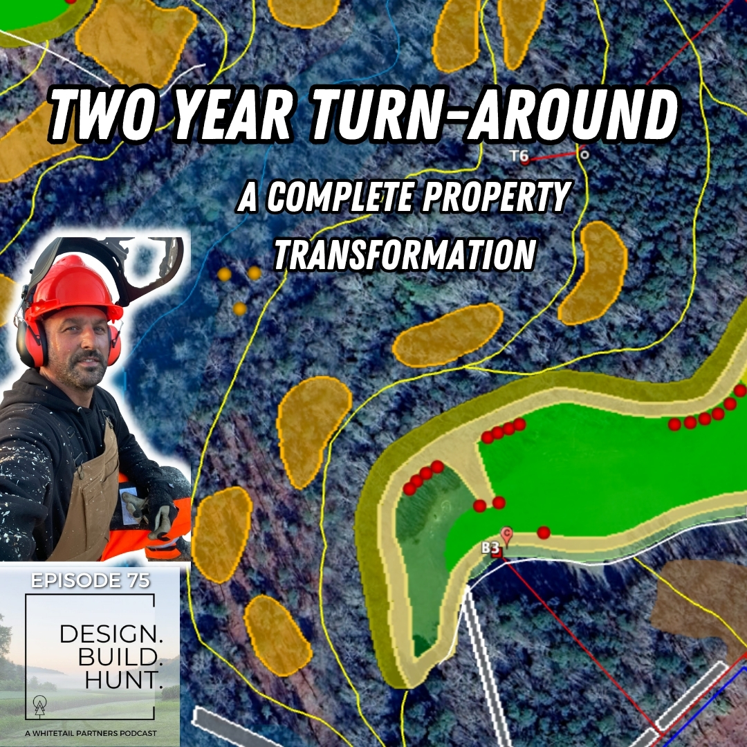 76. Two Year Turn-Around