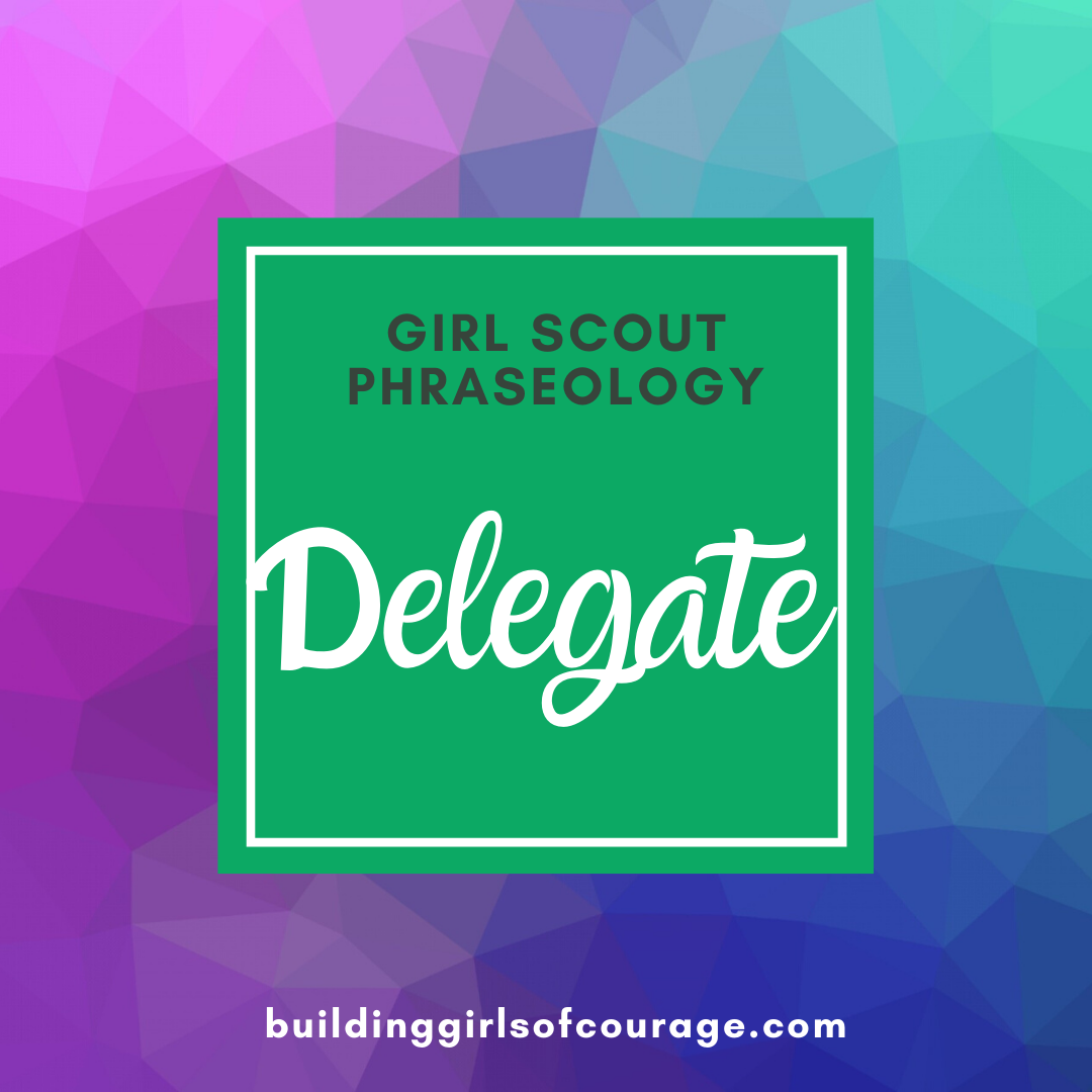 Girl Scouts Phraseology: Delegate episode artwork