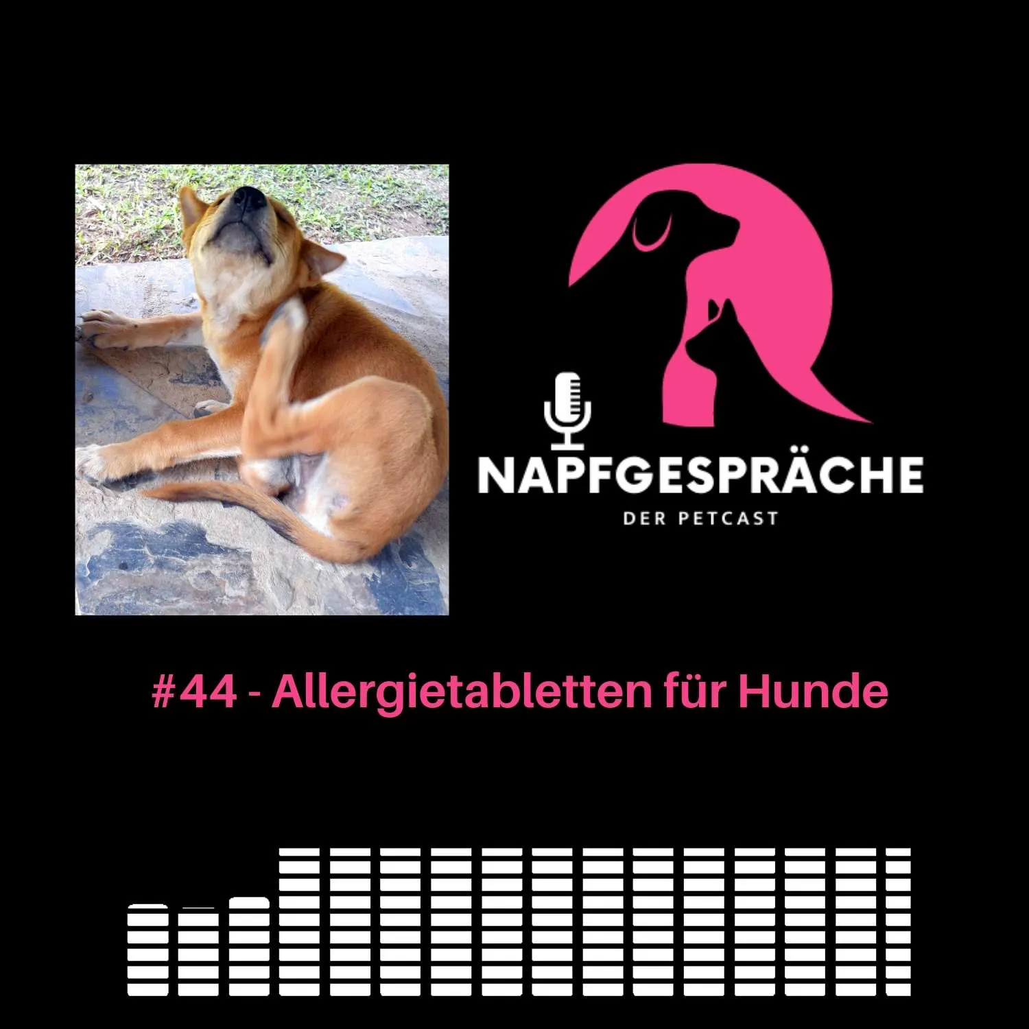 #44 - Allergietabletten für Hunde #44 - Allergietabletten für Hunde