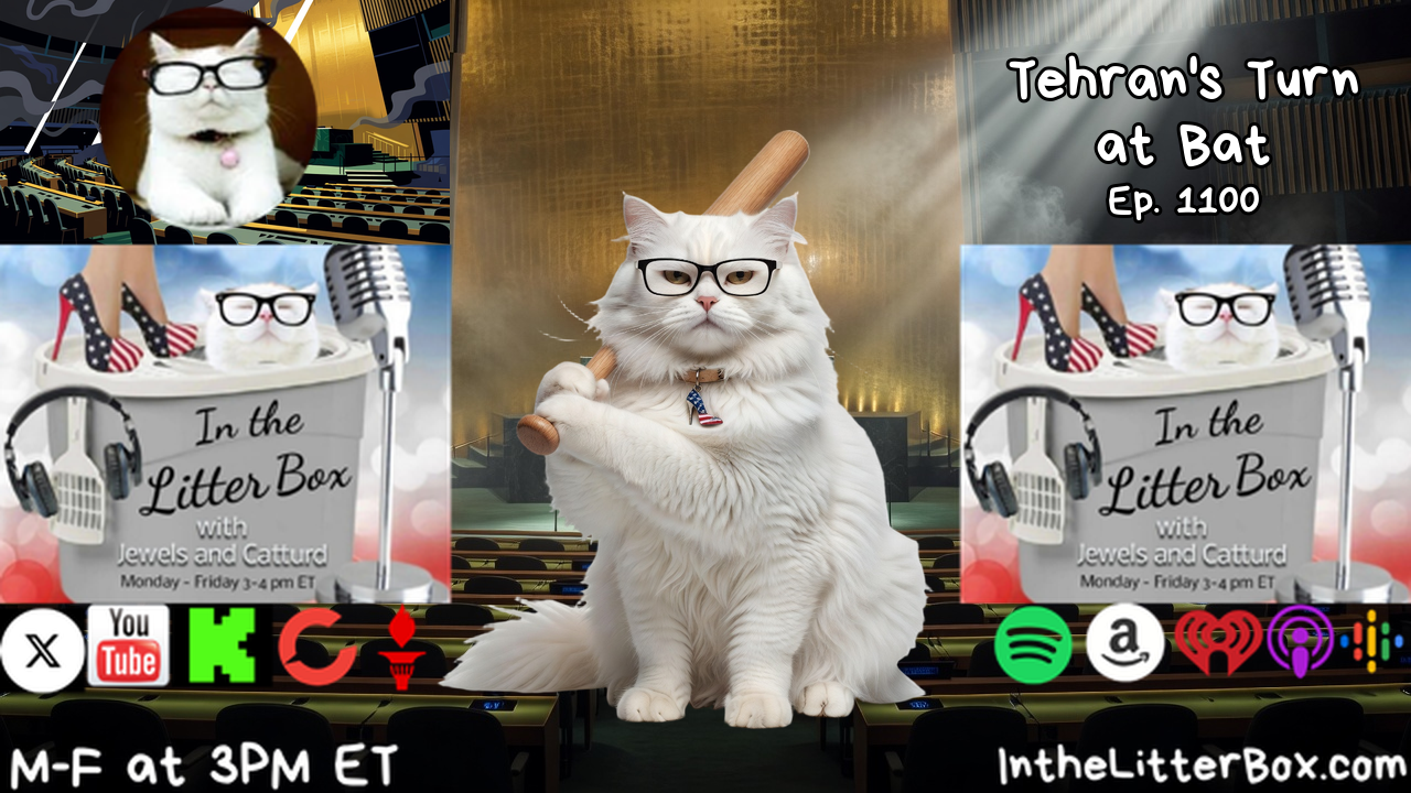 Tehran's Turn at Bat | In the Litter Box w/ Jewels & Catturd - Ep. 1100 - 9/23/2026