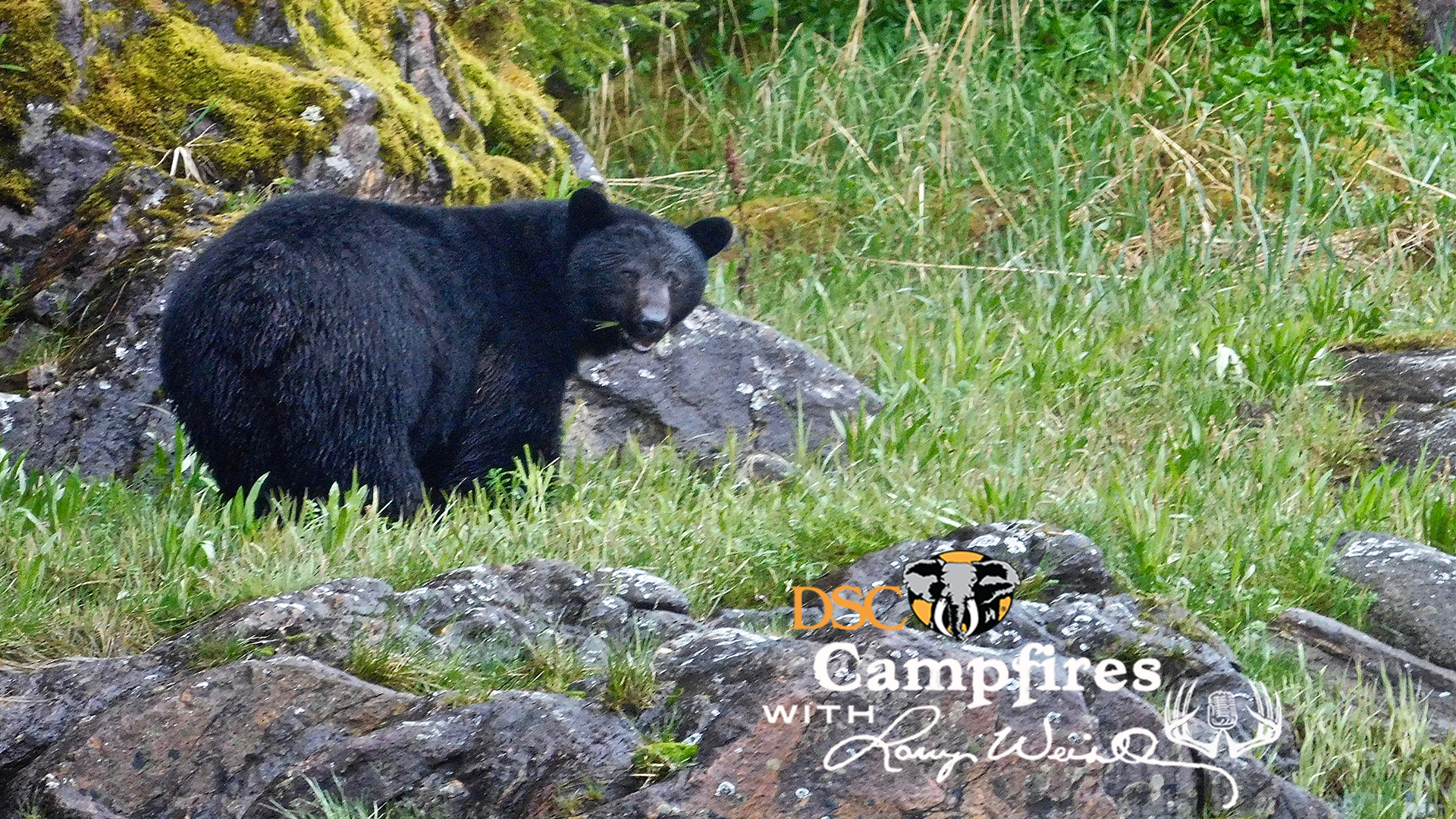 DSC Campfires with Larry Weishuhn