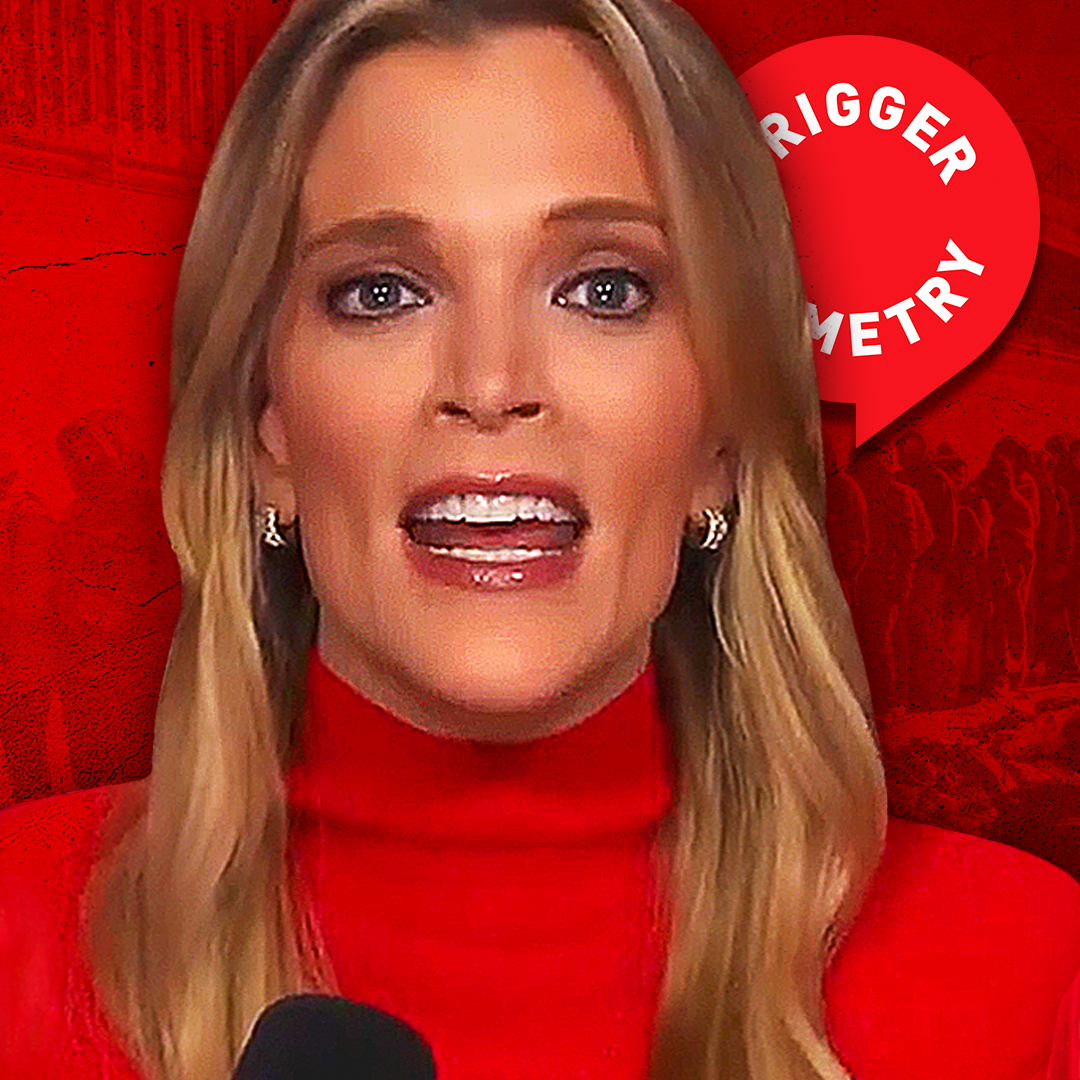 The Dems Want An Open Border - Megyn Kelly