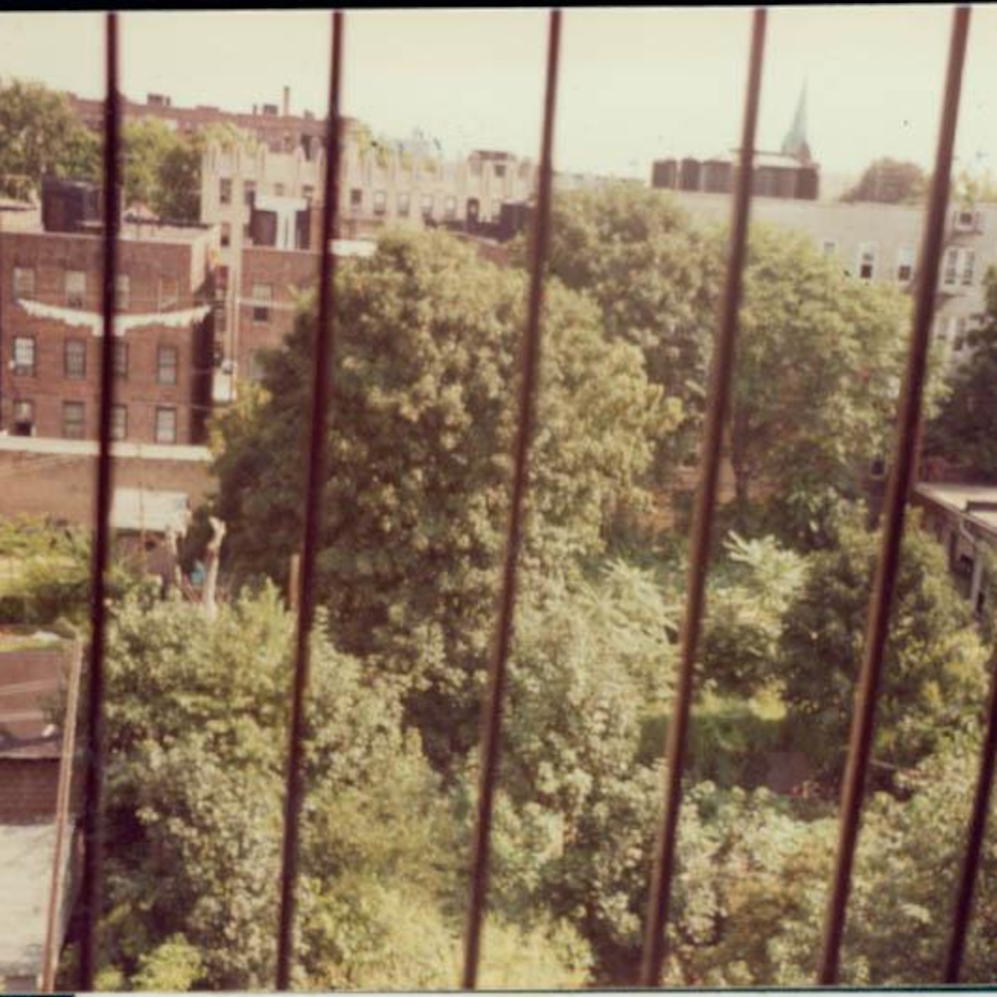 Fish Out of Agua with Michele Carlo