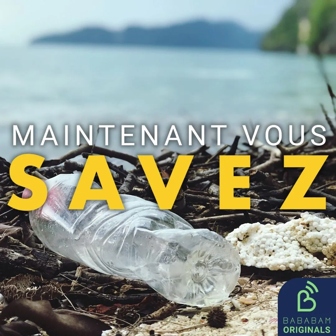 Comment les champignons peuvent-ils nous sauver de la pollution plastique ?