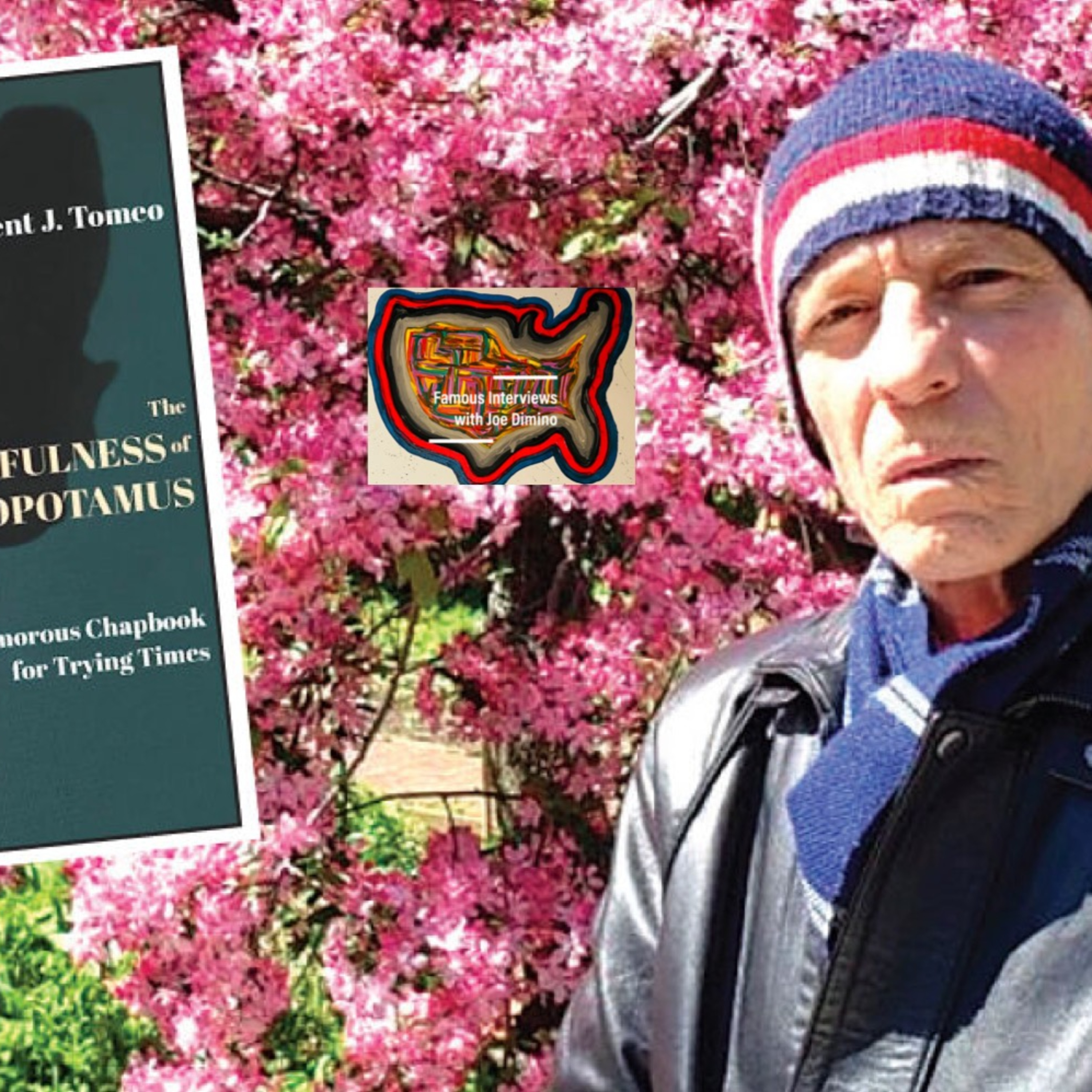 Poet, Archivist, Historian & Community Activist Vincent Tomeo episode artwork