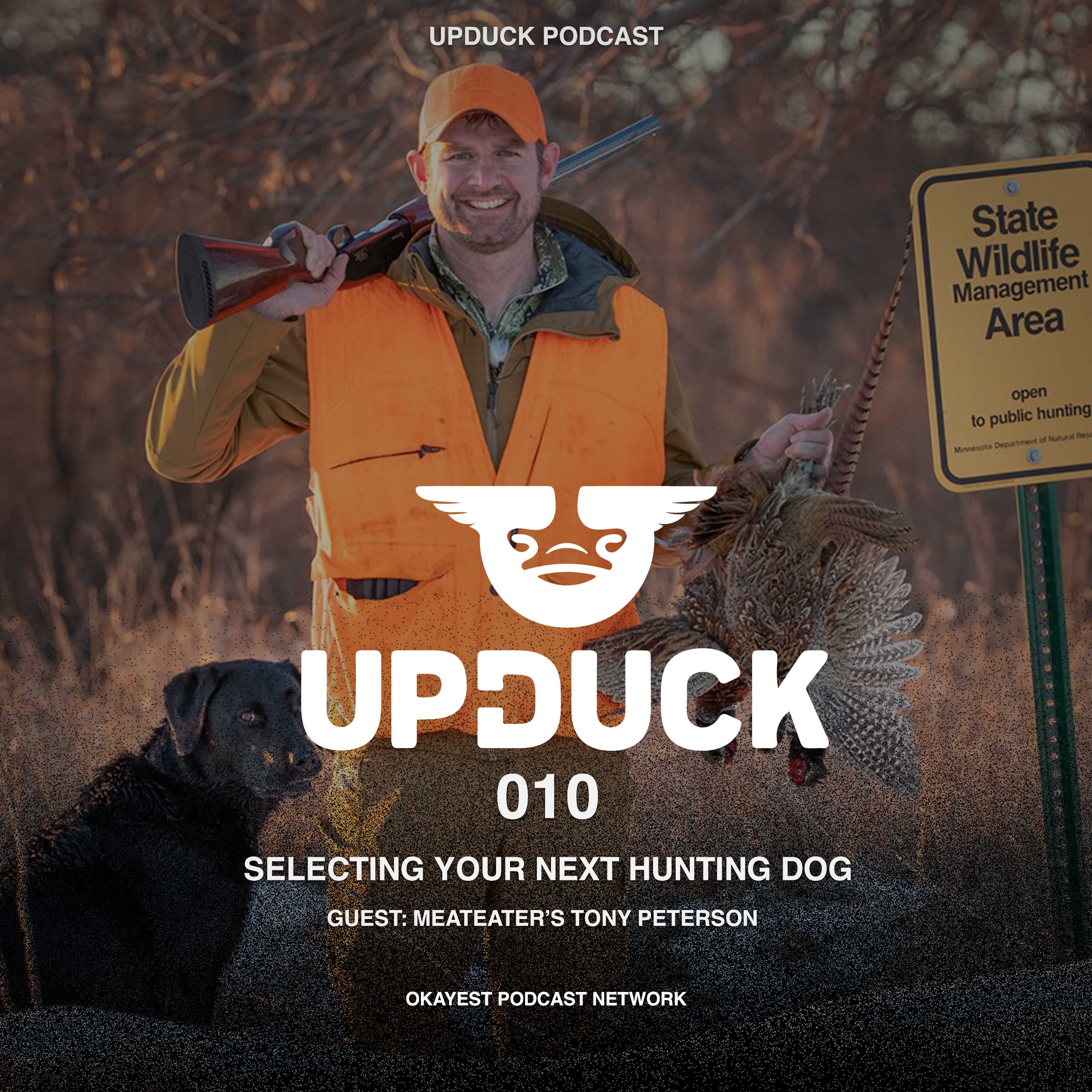 Selecting Your Next Hunting Dog with Tony Peterson from Meateater episode artwork