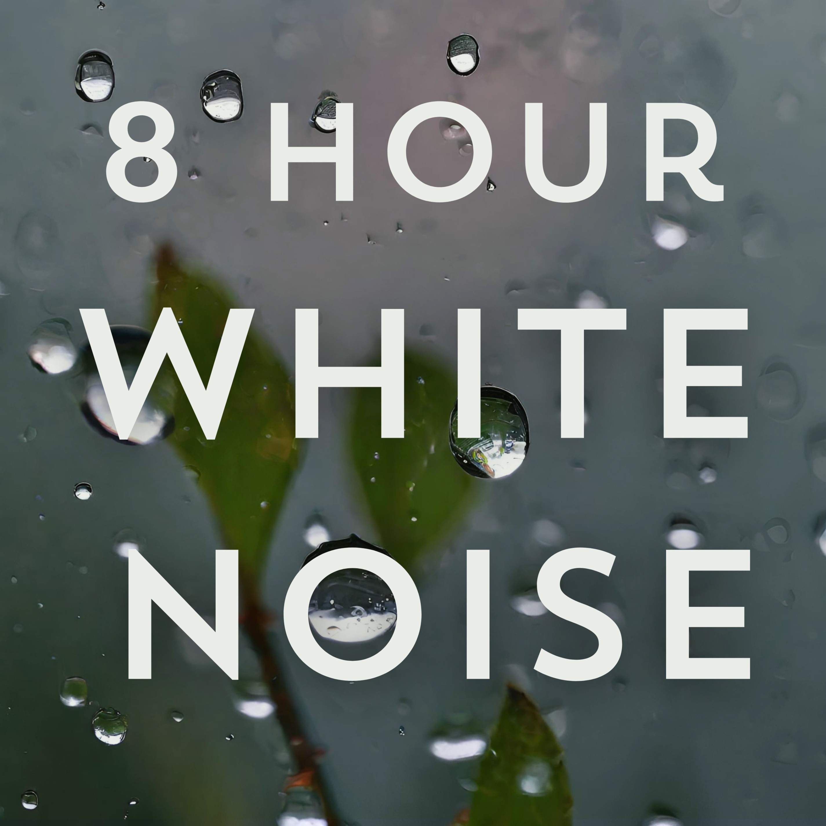 Rain White Noise 8 Hours