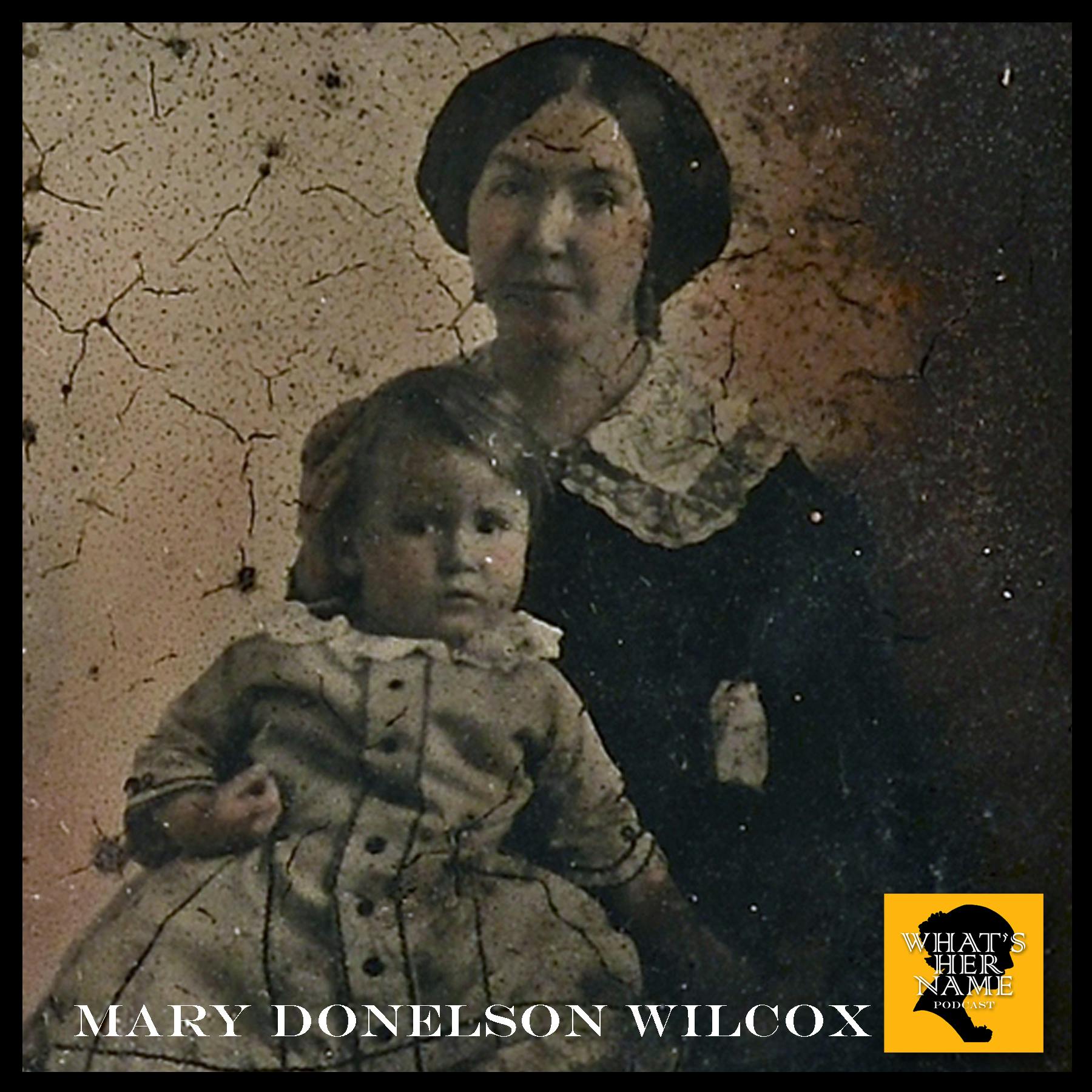 WHITE HOUSE HOLIDAY Mary Donelson Wilcox: 2019 Christmas Special