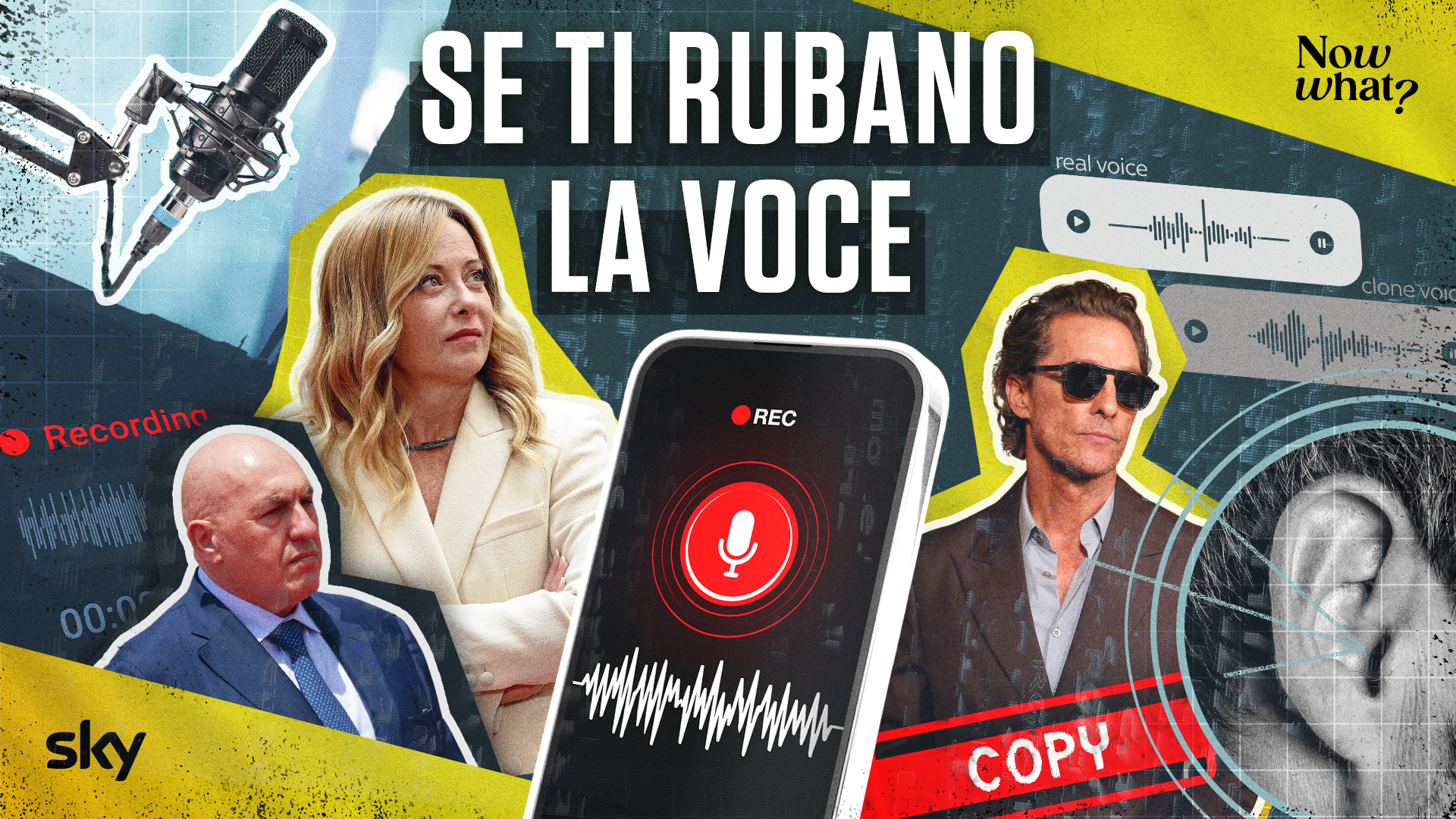 Se ti rubano la voce