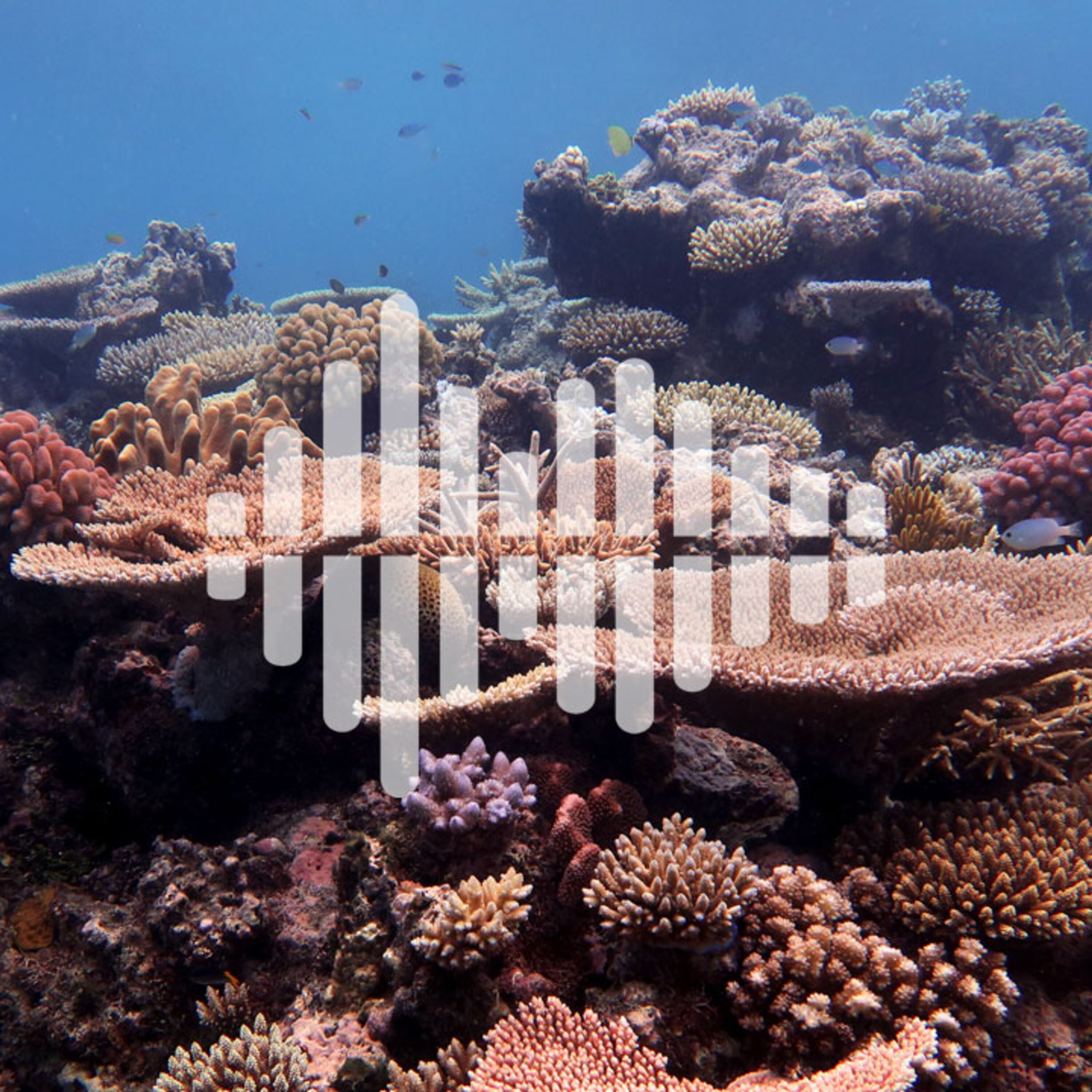 Staking out the start of the Anthropocene, and why sunscreen is bad for coral