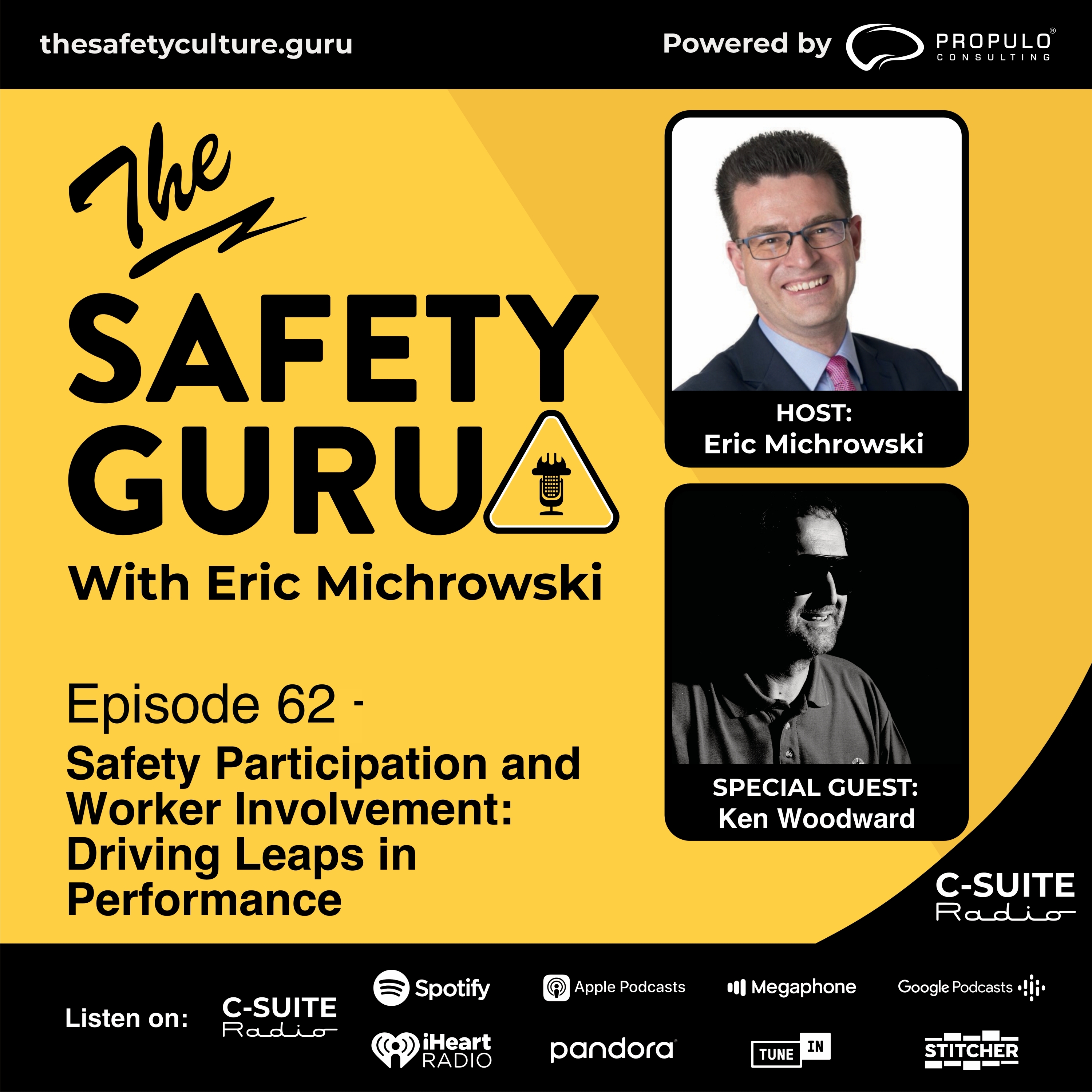 The Safety Guru
