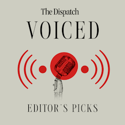 Dispatch Voiced - Editor's Picks