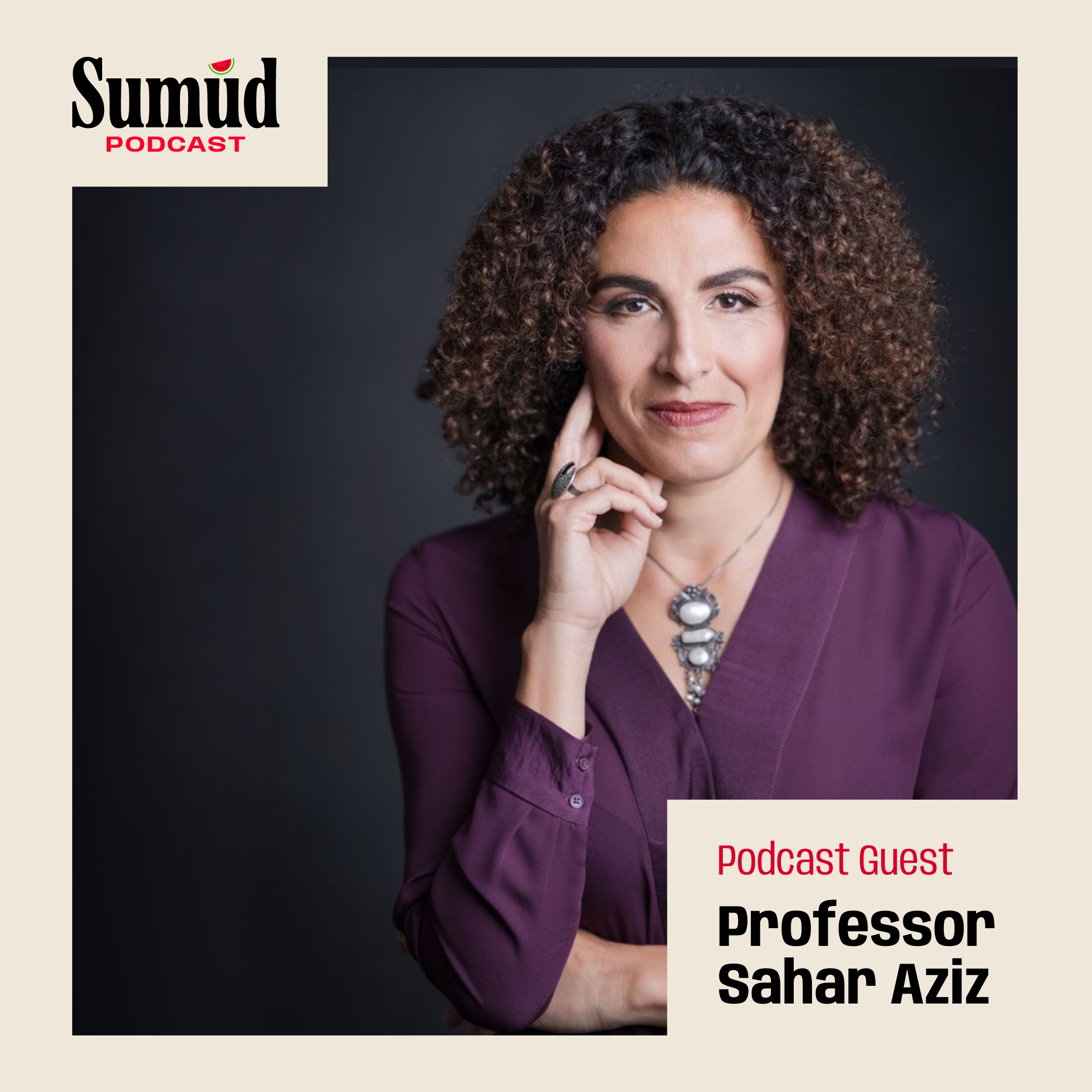 Sumud Podcast: Inspired by Palestine