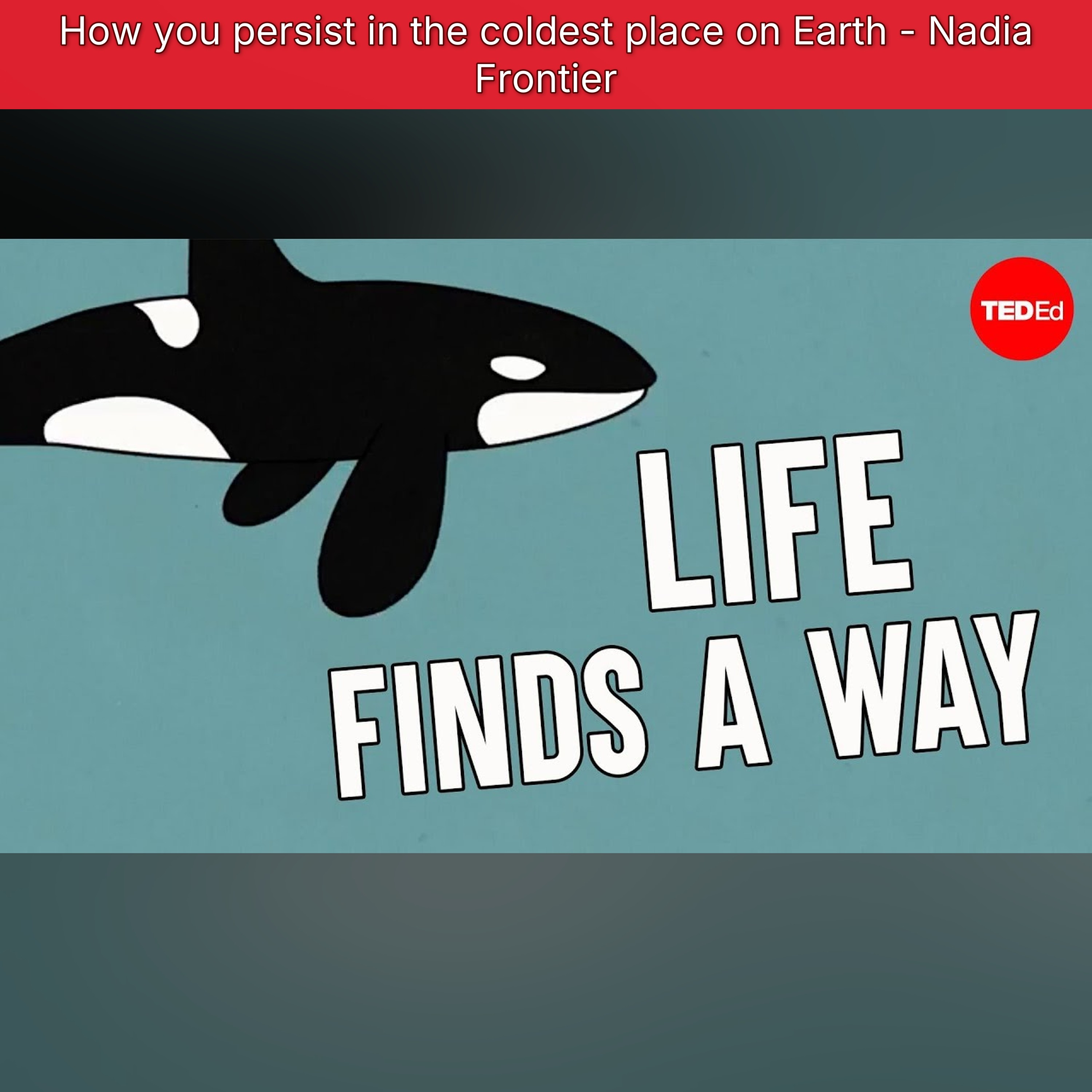 How you persist in the coldest place on Earth - Nadia Frontier episode artwork