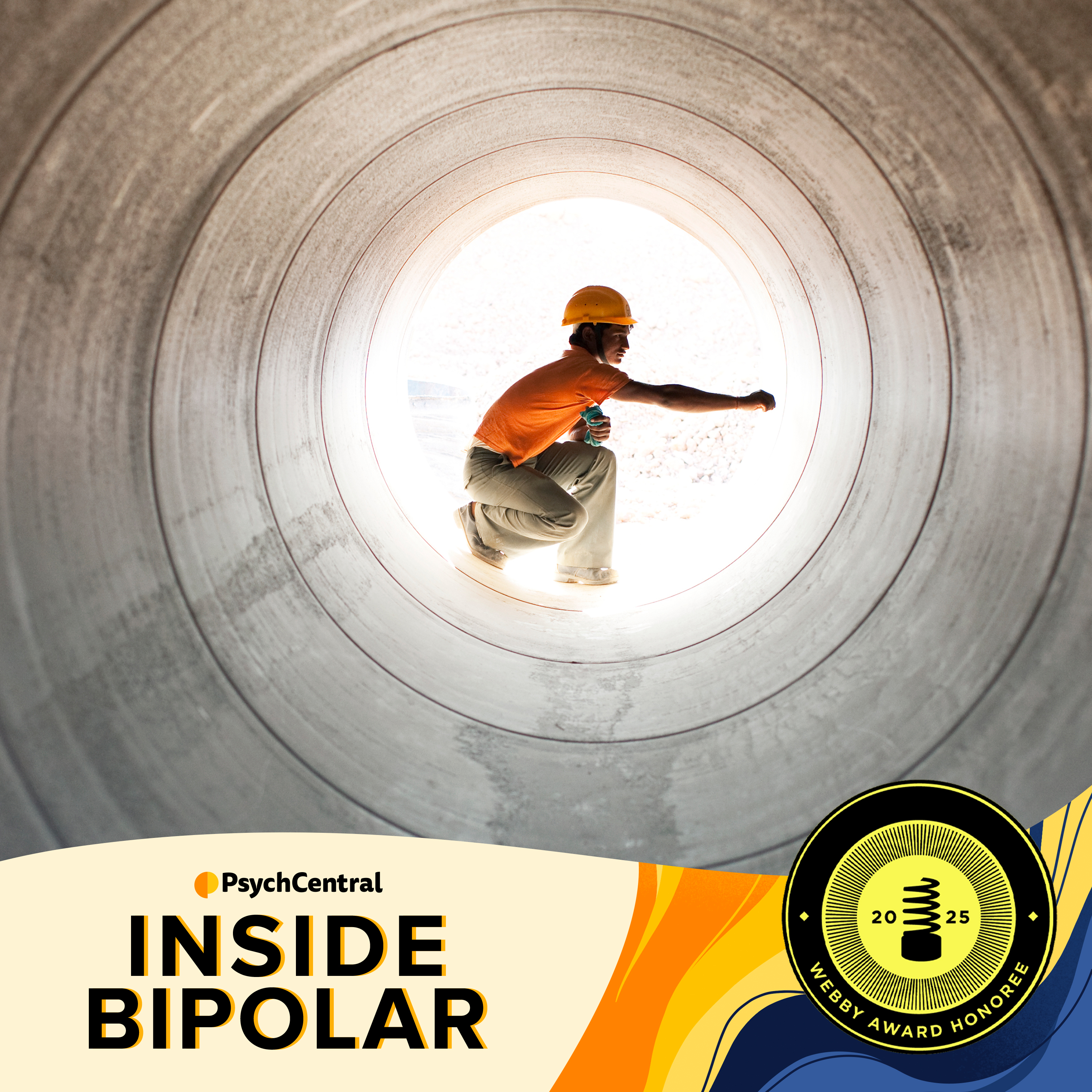 Inside Bipolar