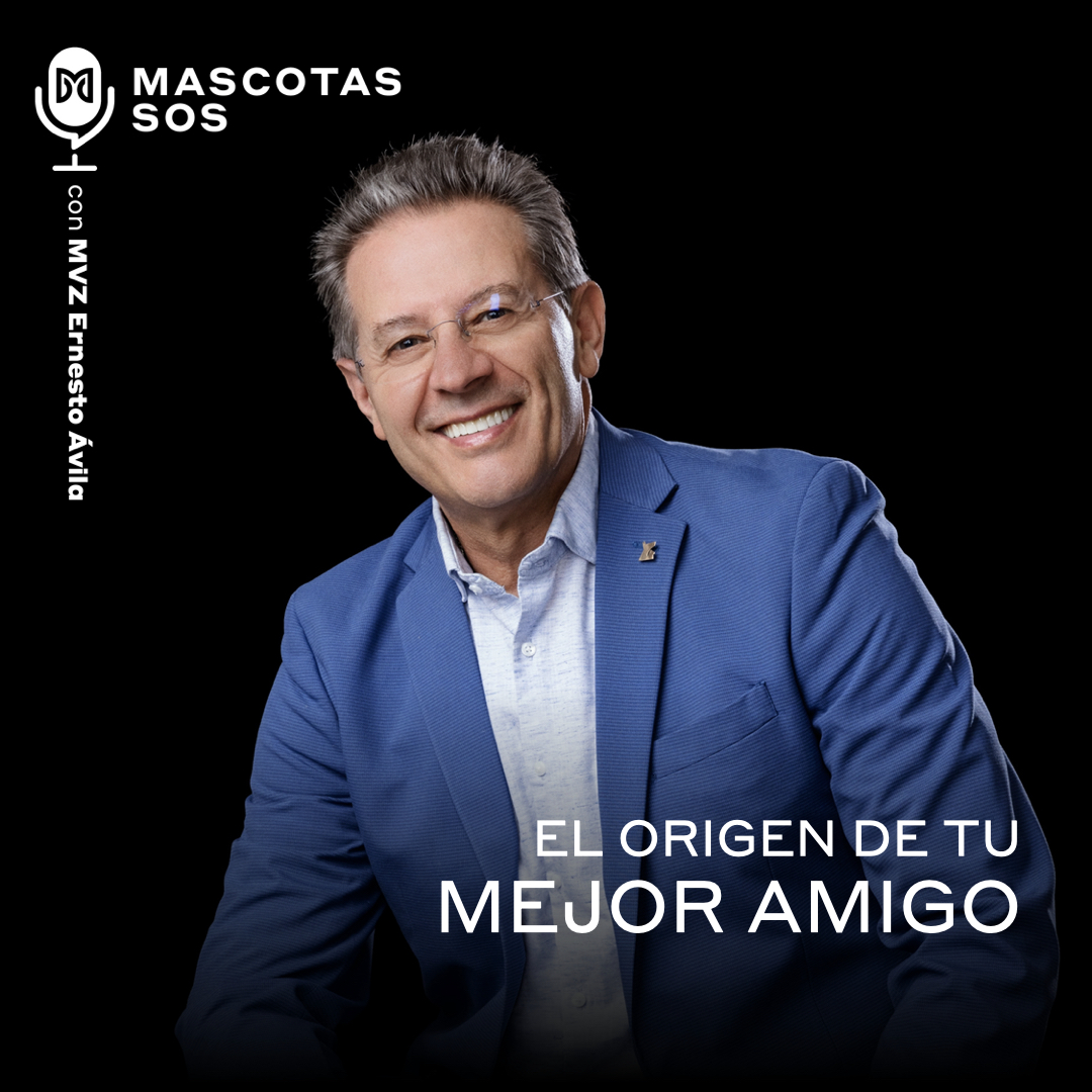 El origen de tu mejor amigo