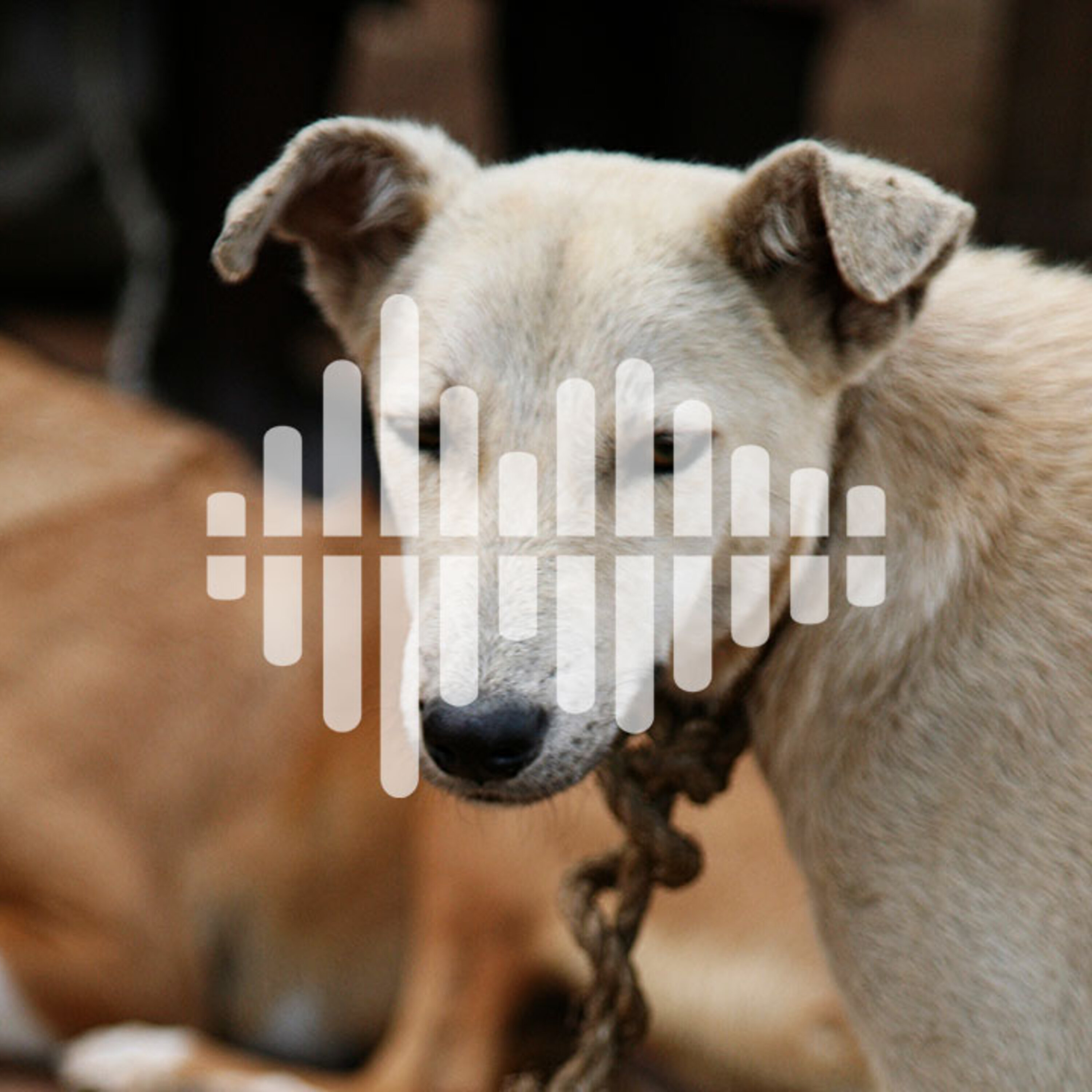 Science Magazine Podcast