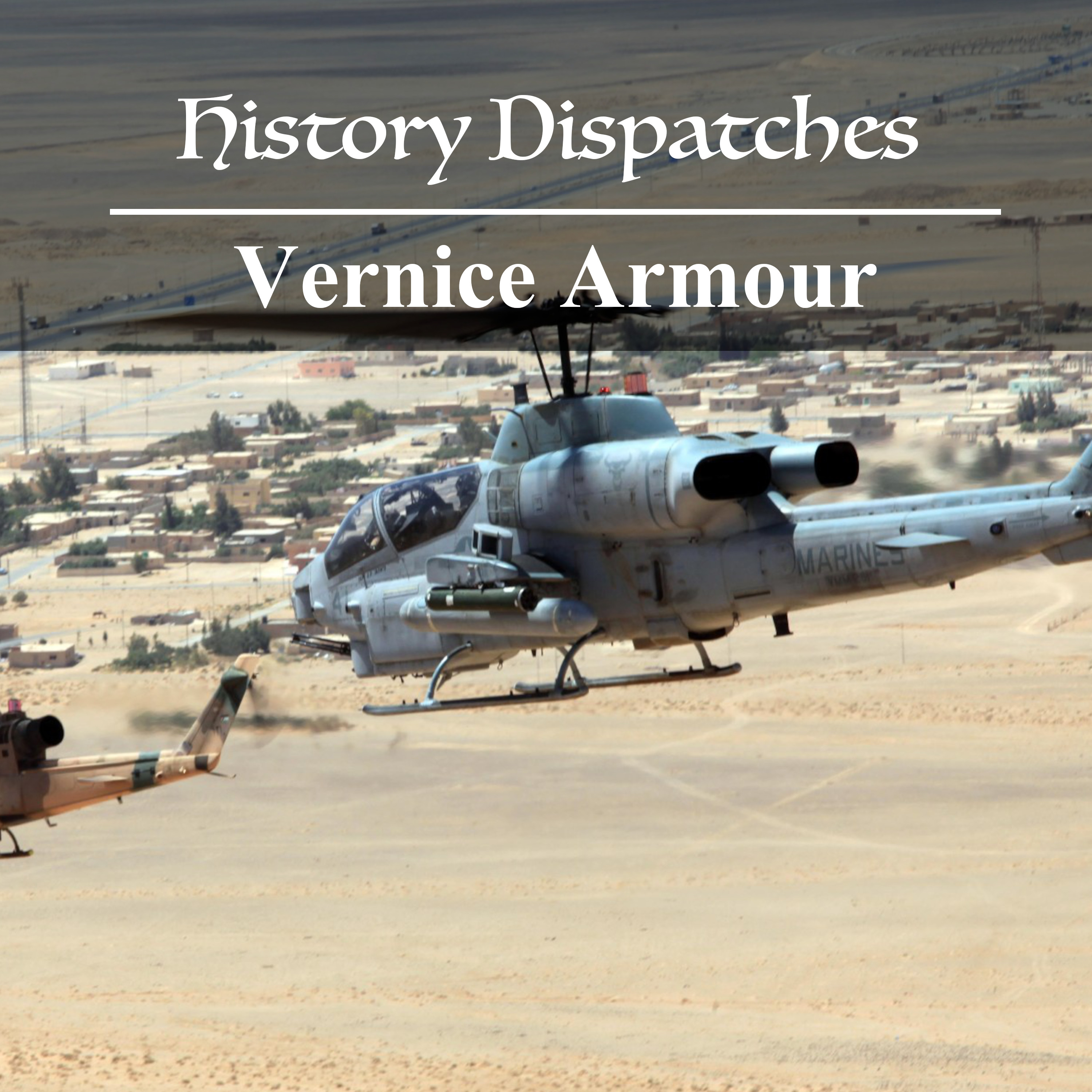 Captain Vernice Armour: The first African American female combat pilot